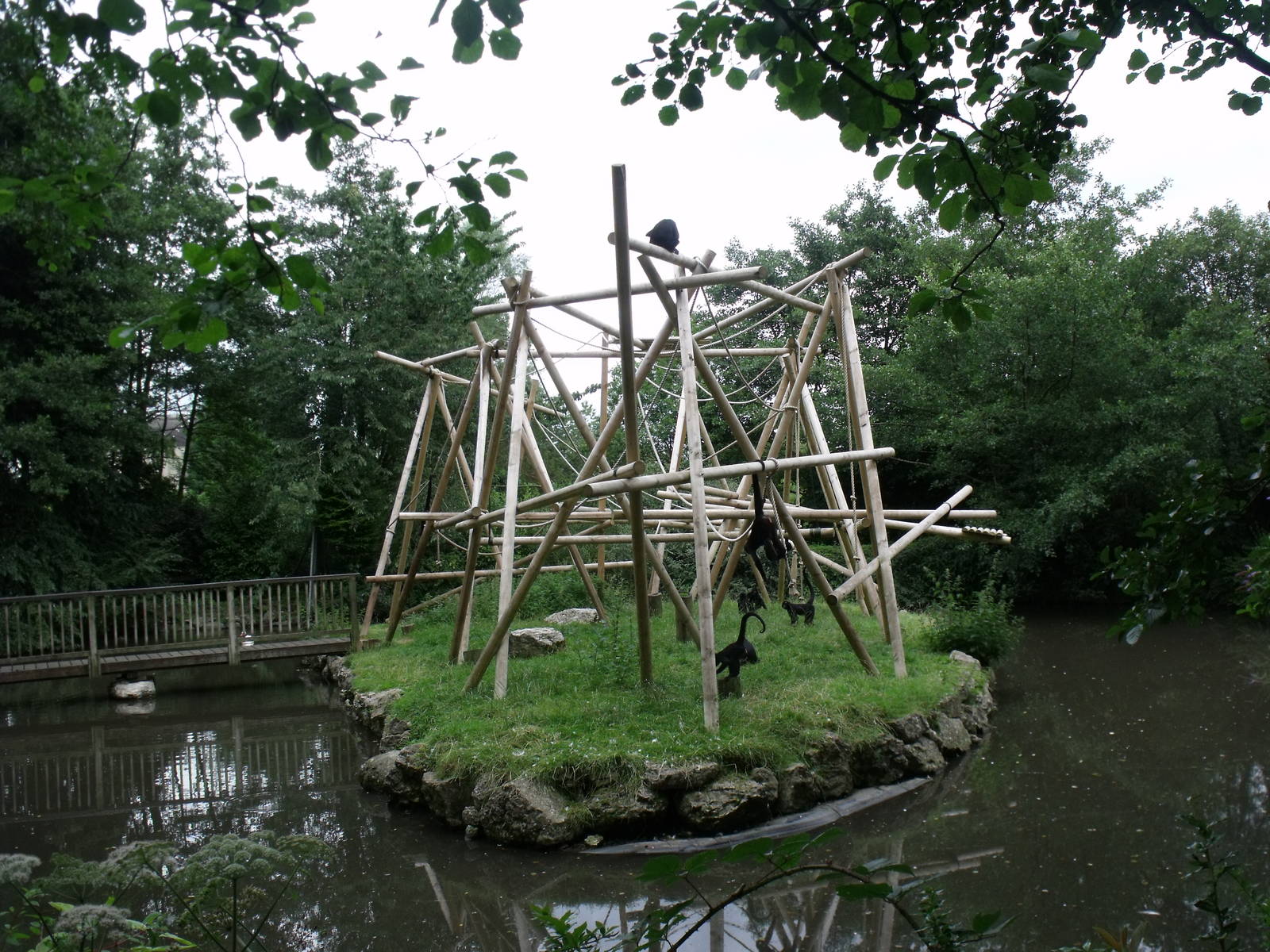 Spider monkey island