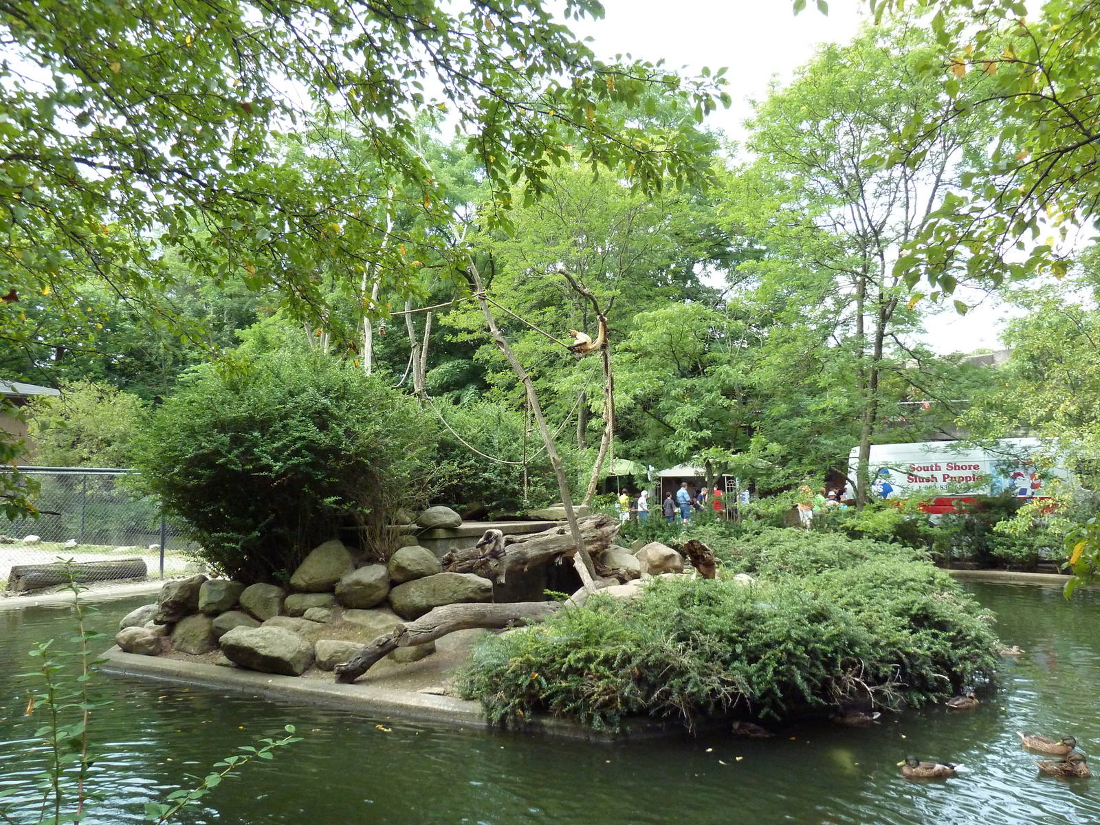 Spider Monkey Island