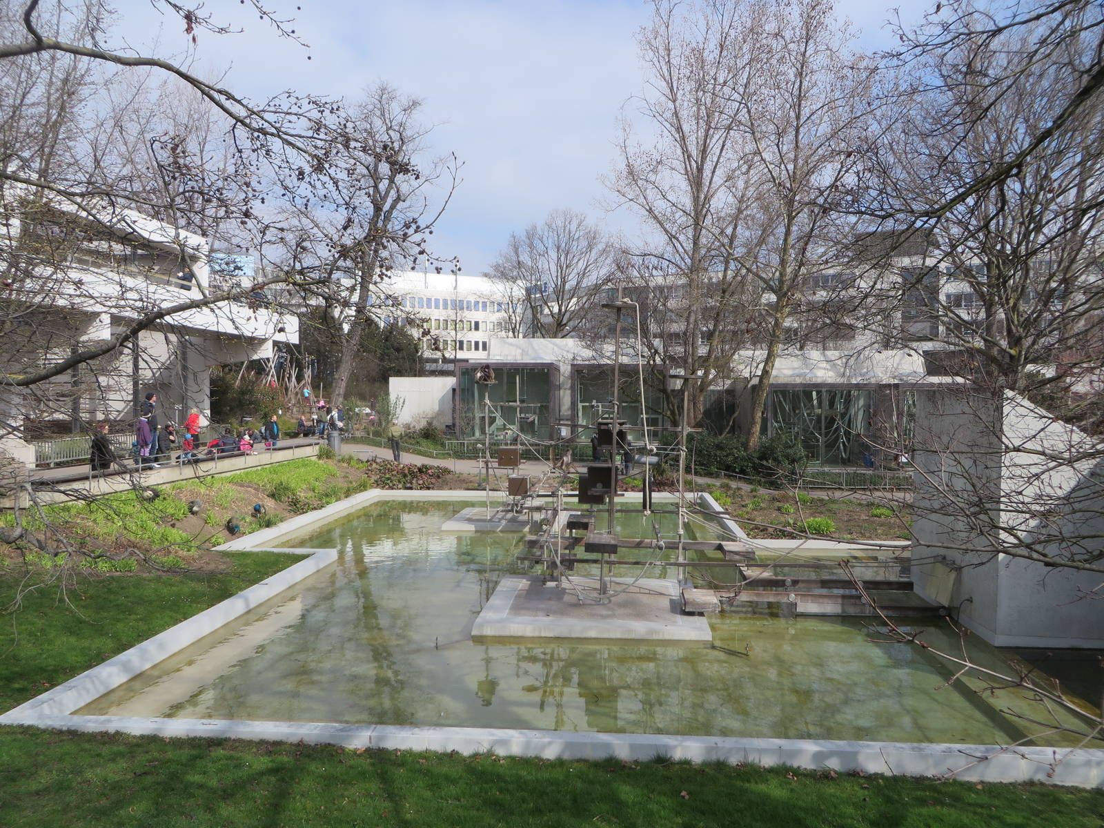 Spider monkey island