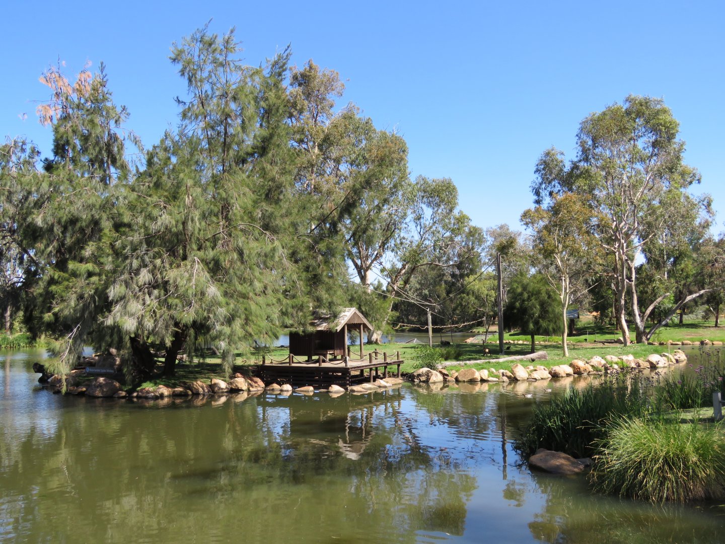 Spider Monkey Island