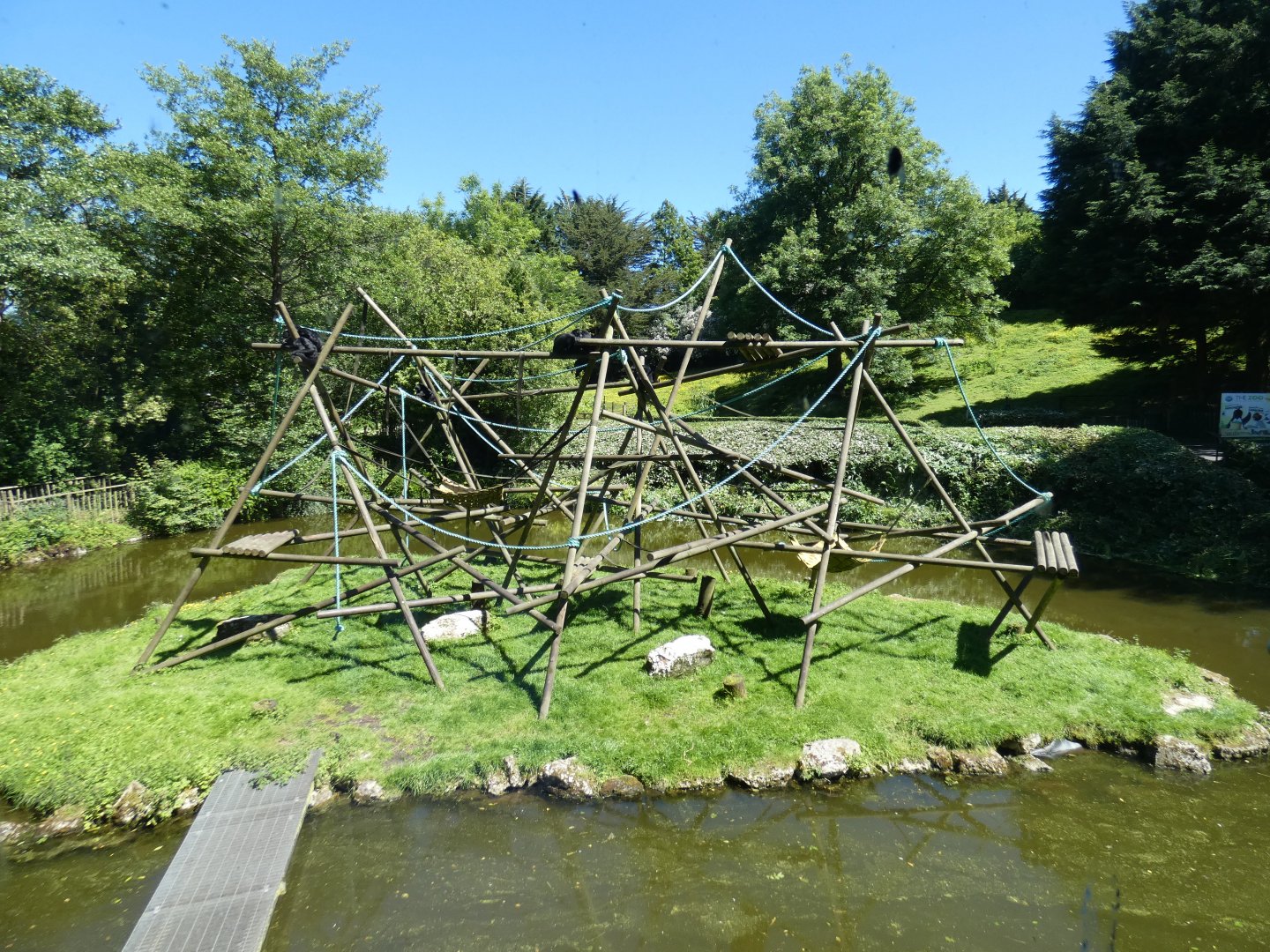 Spider monkey island