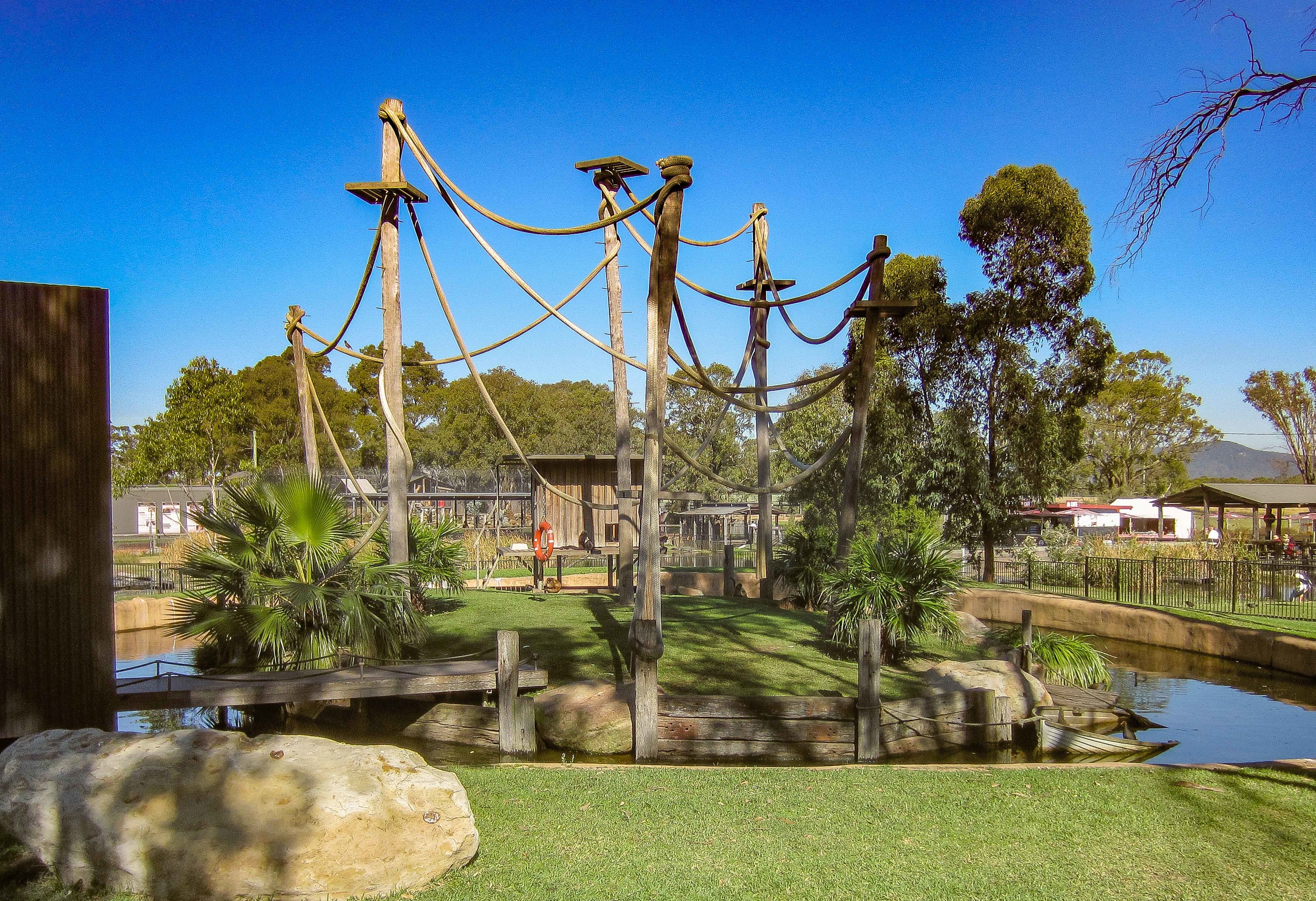 Spider Monkey island