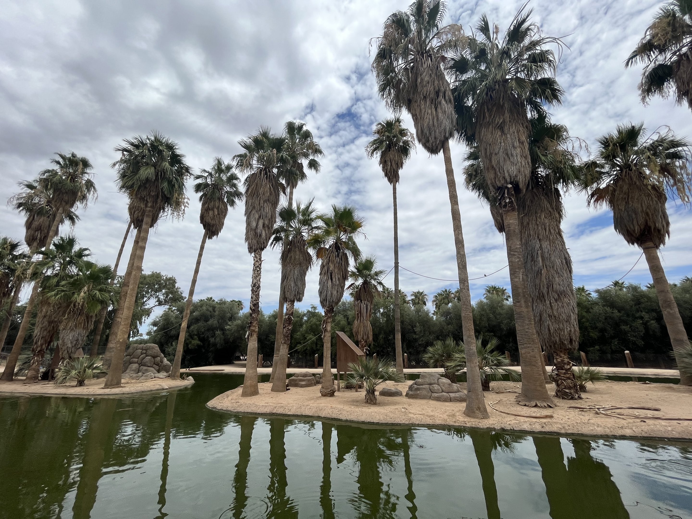 Spider Monkey Islands #6 + #7