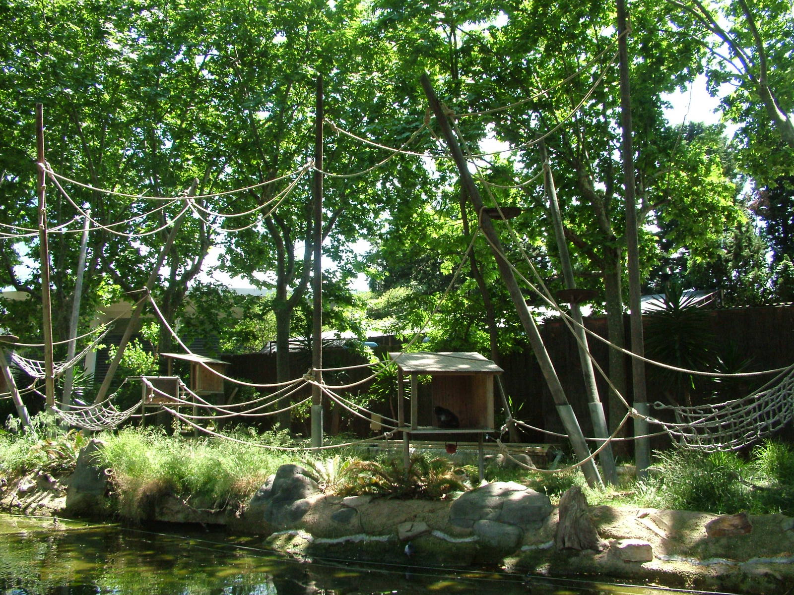 Spider Monkey Islands at Barcelona, 30/05/11