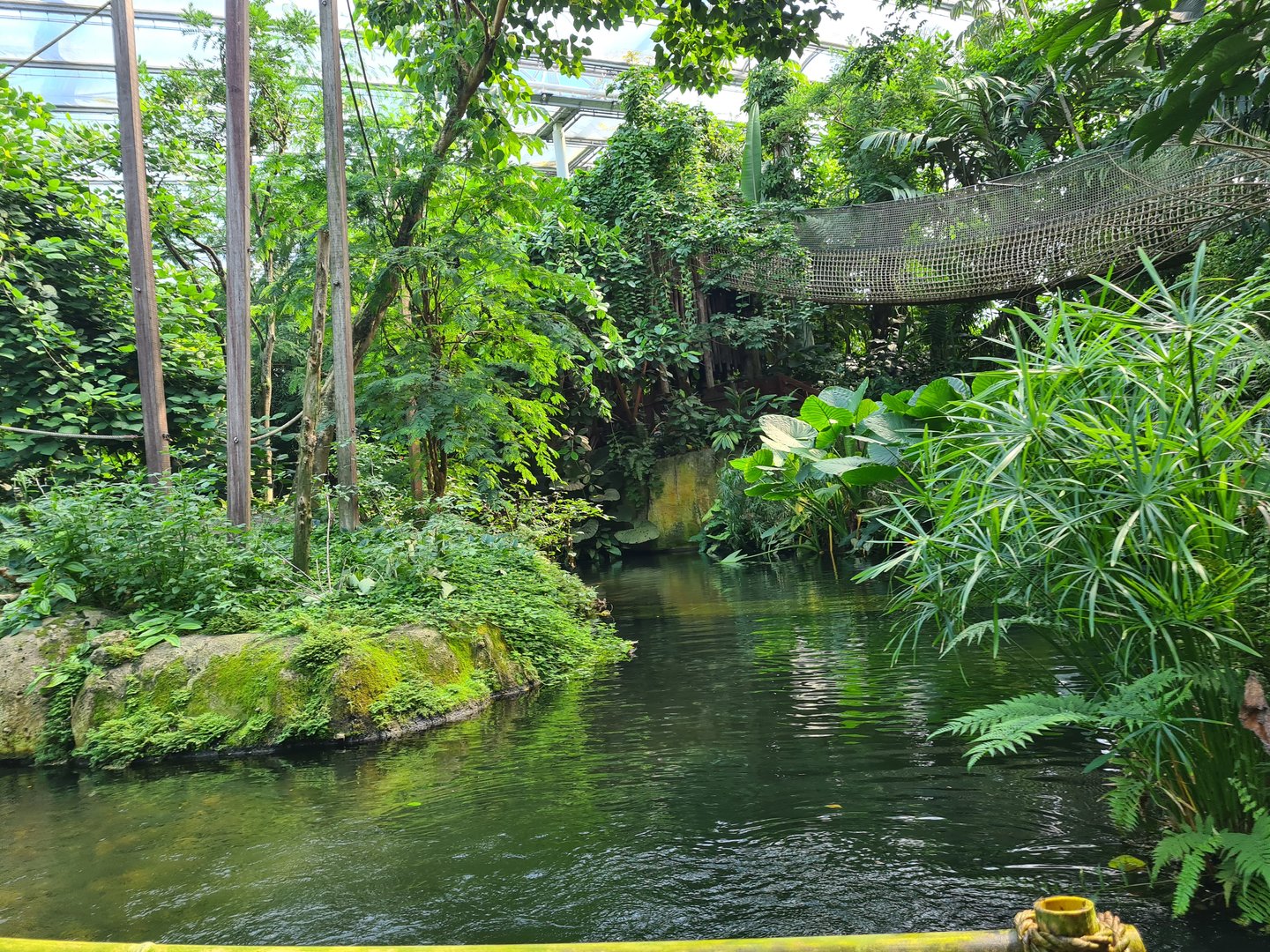 Spider monkey islands seen from Rimbula river boat ride