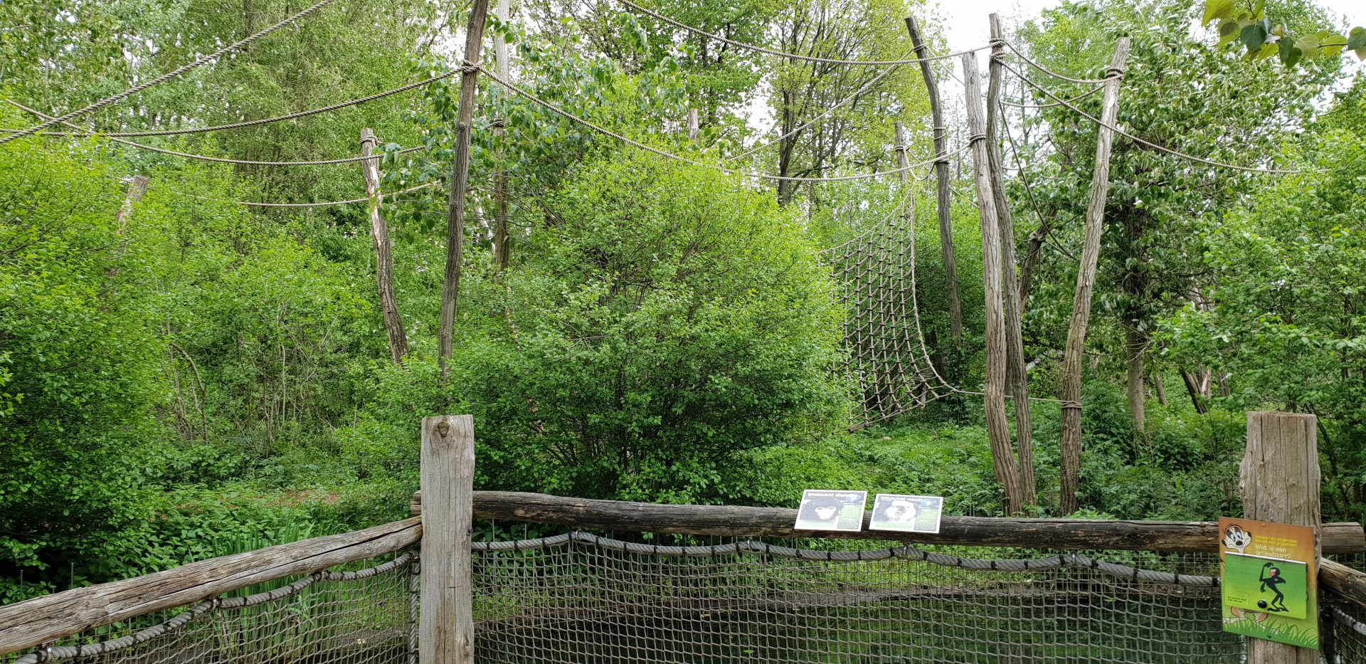 Spider monkey outdoor enclosure