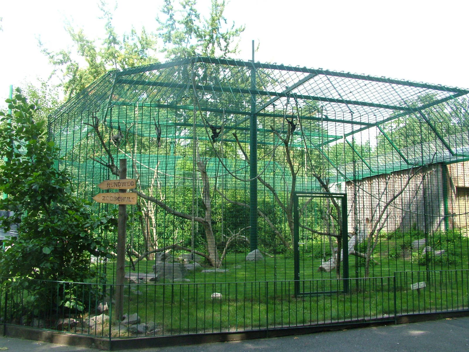 Spider Monkey Outdoor Exhibit at Landau Zoo, 04/09/10