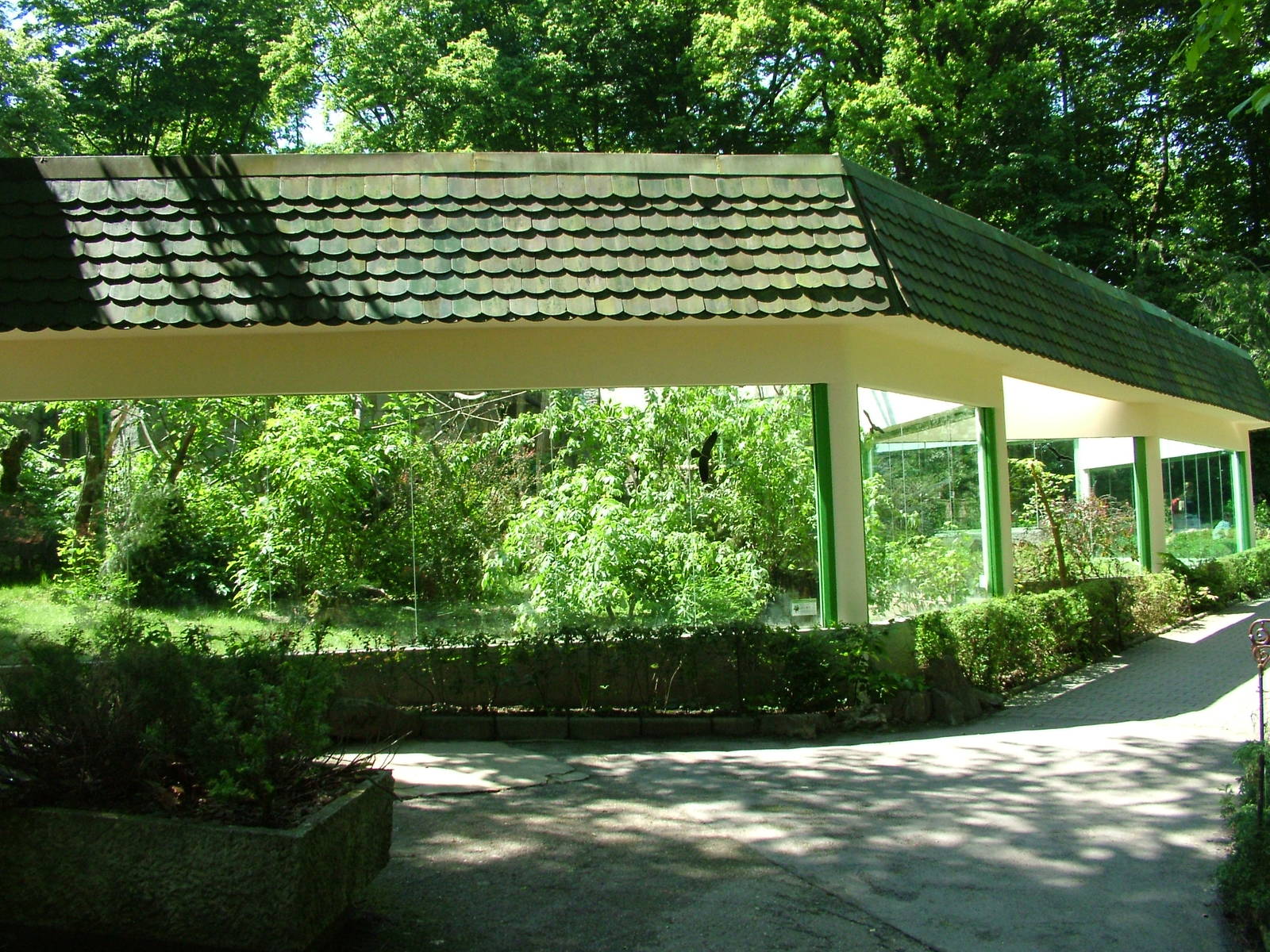 Spider Monkey outdoor exhibit at Zlin, 28/05/10