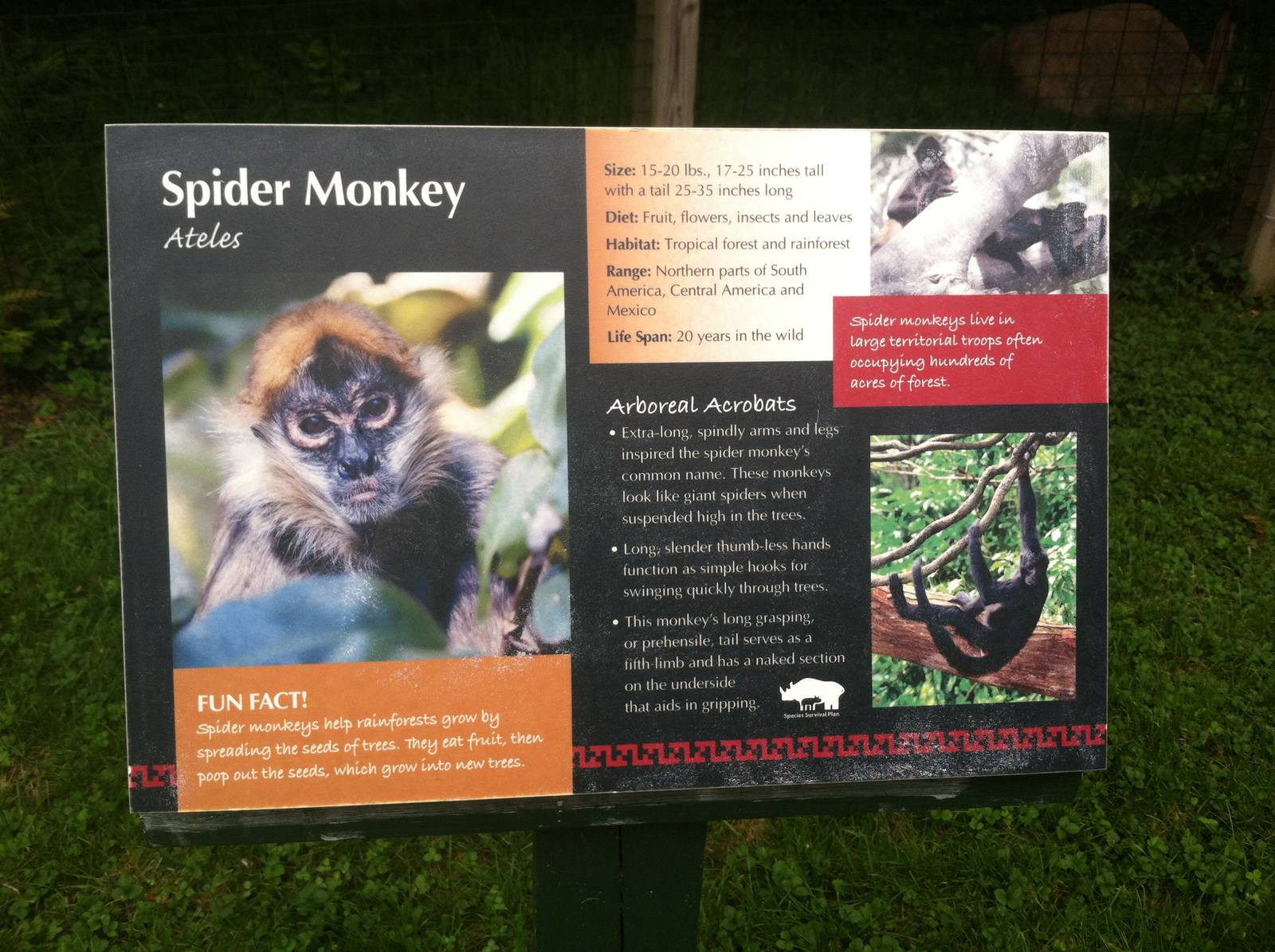 Spider Monkey Signage