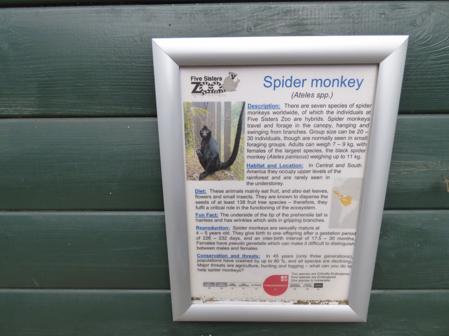 Spider Monkey Signage