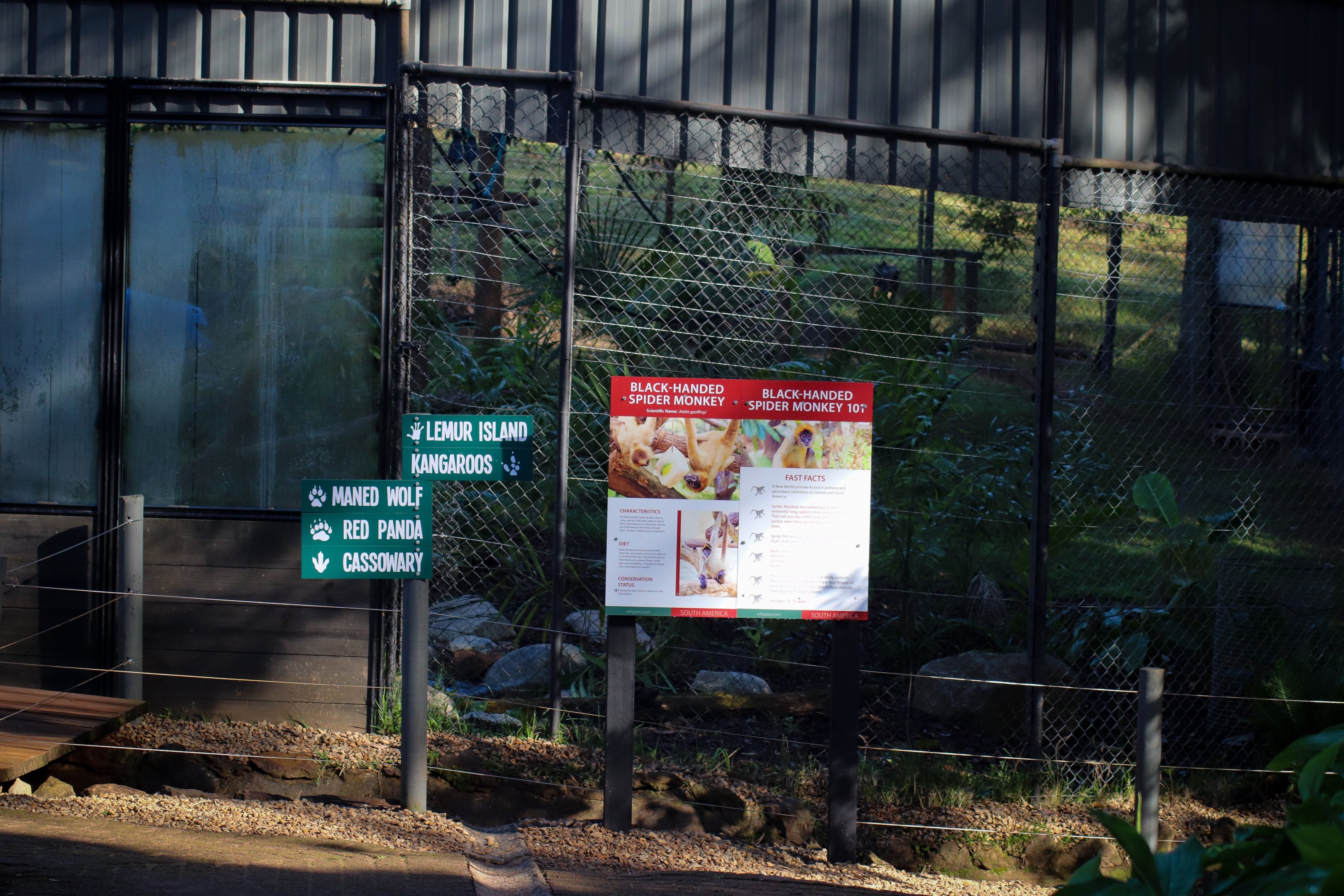 Spider Monkey Signage