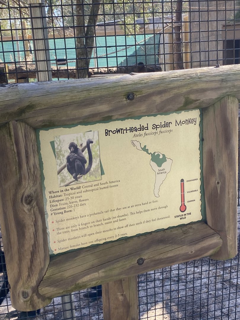 Spider monkey signage