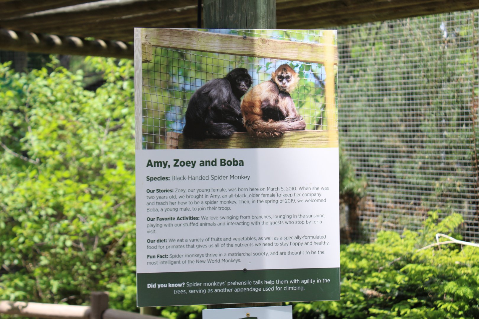 Spider Monkey Signage