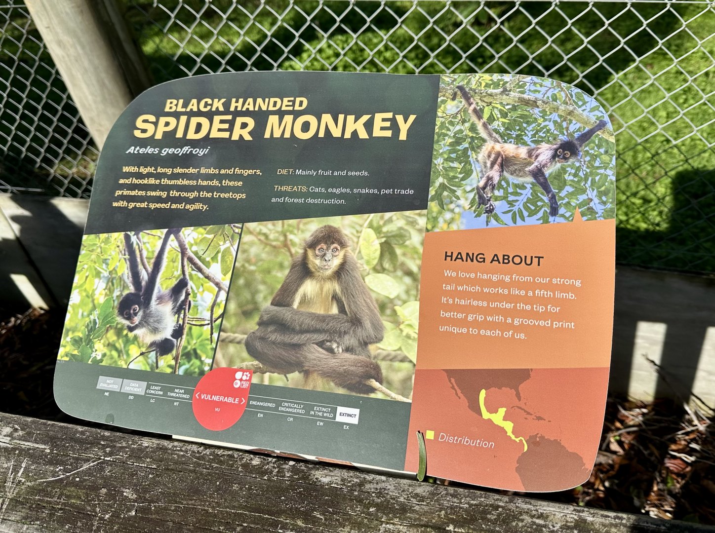 Spider Monkey Signage