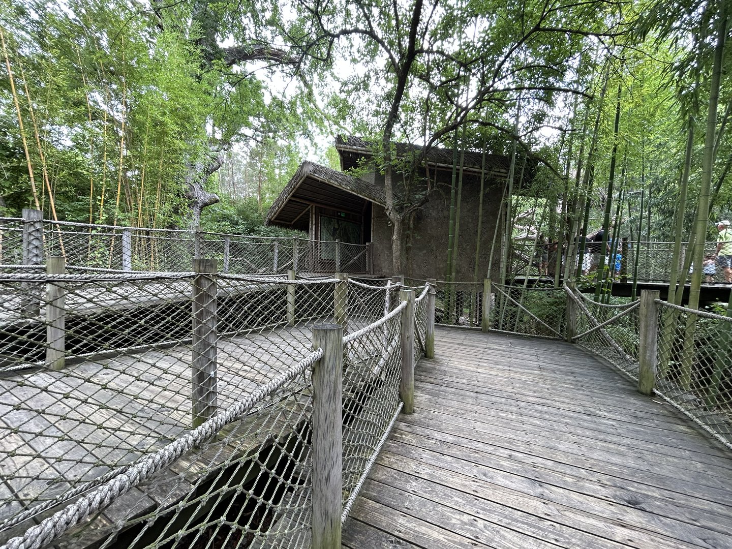 Spider Monkey Viewing Building