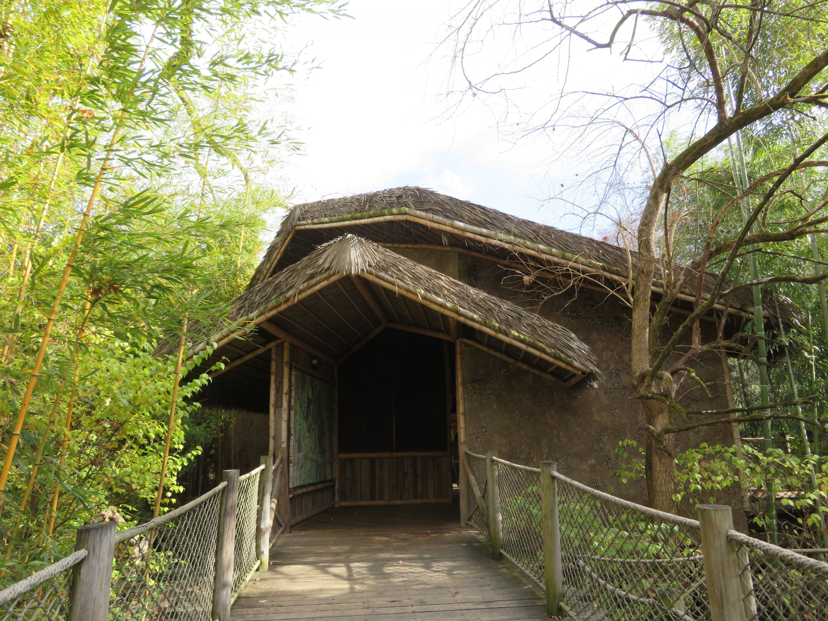 Spider Monkey Viewing Hut