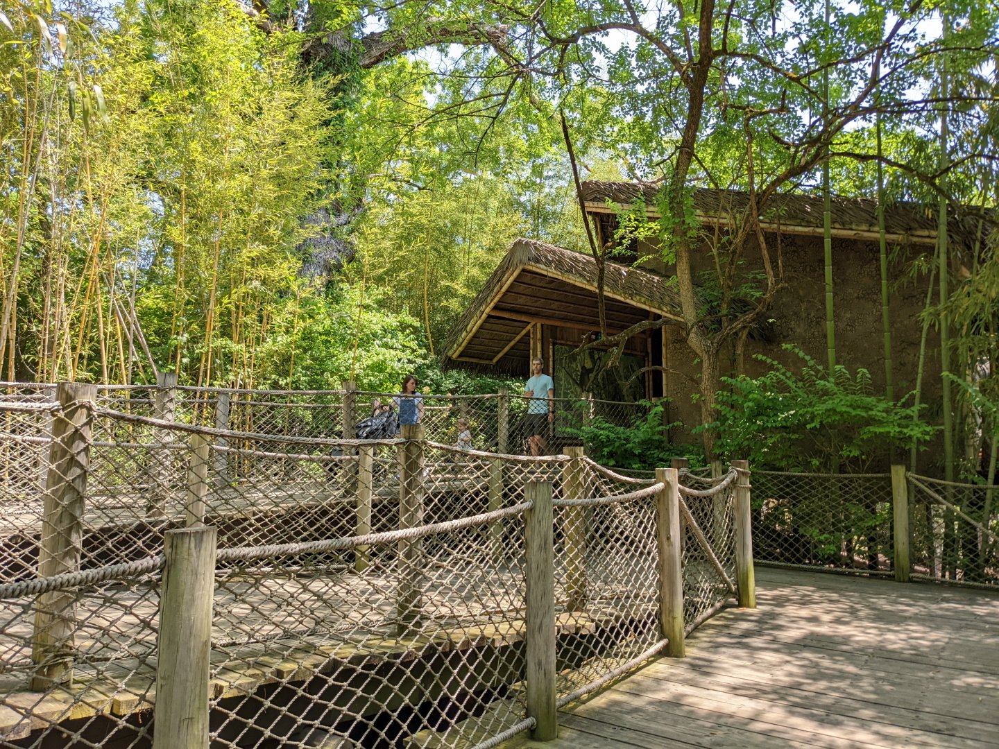 Spider Monkey viewing pavilion