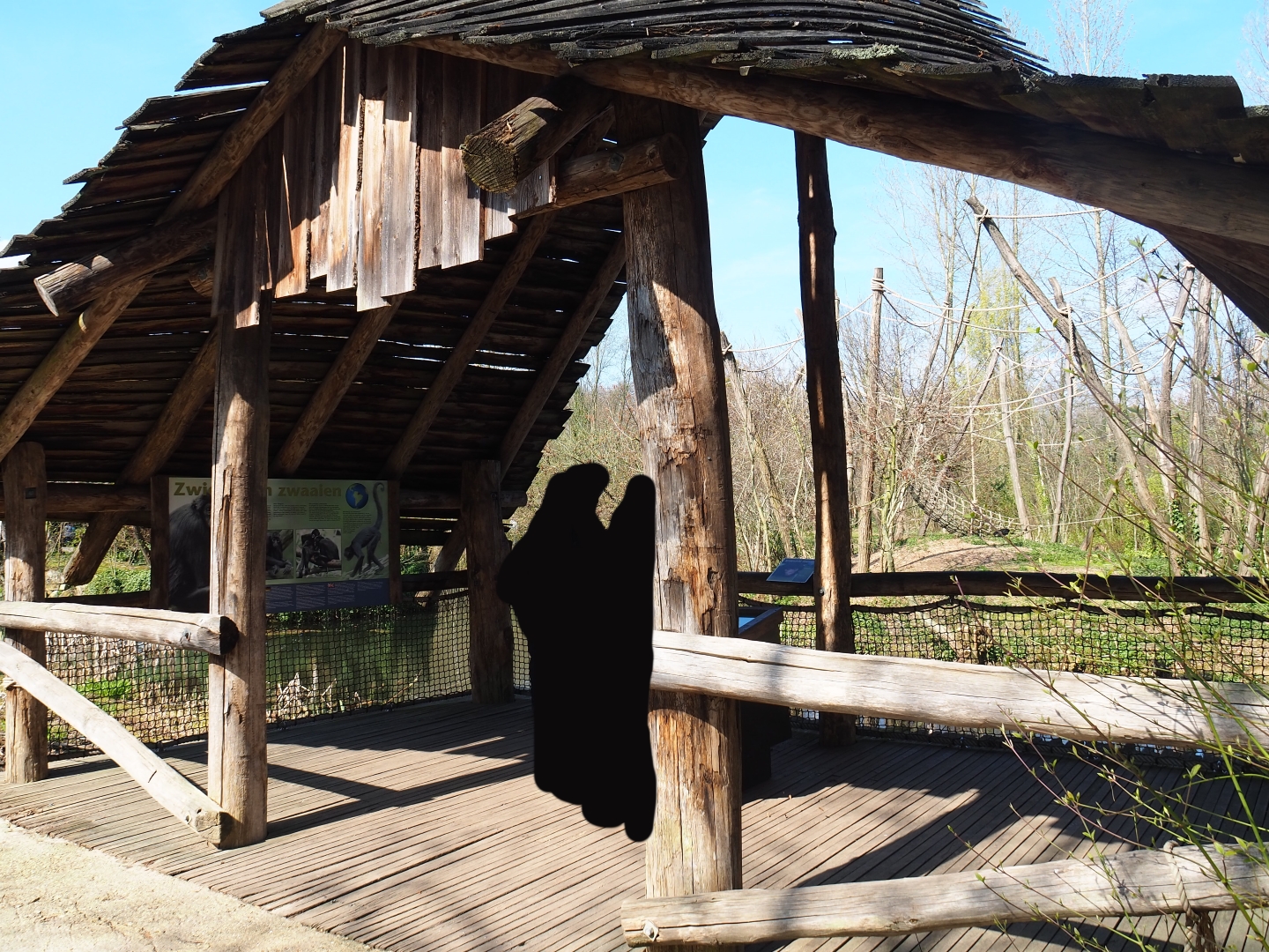 Spider monkey viewing shelter, 2019-03-30