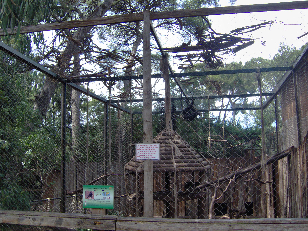 Spider Monkeys exhibit 2007