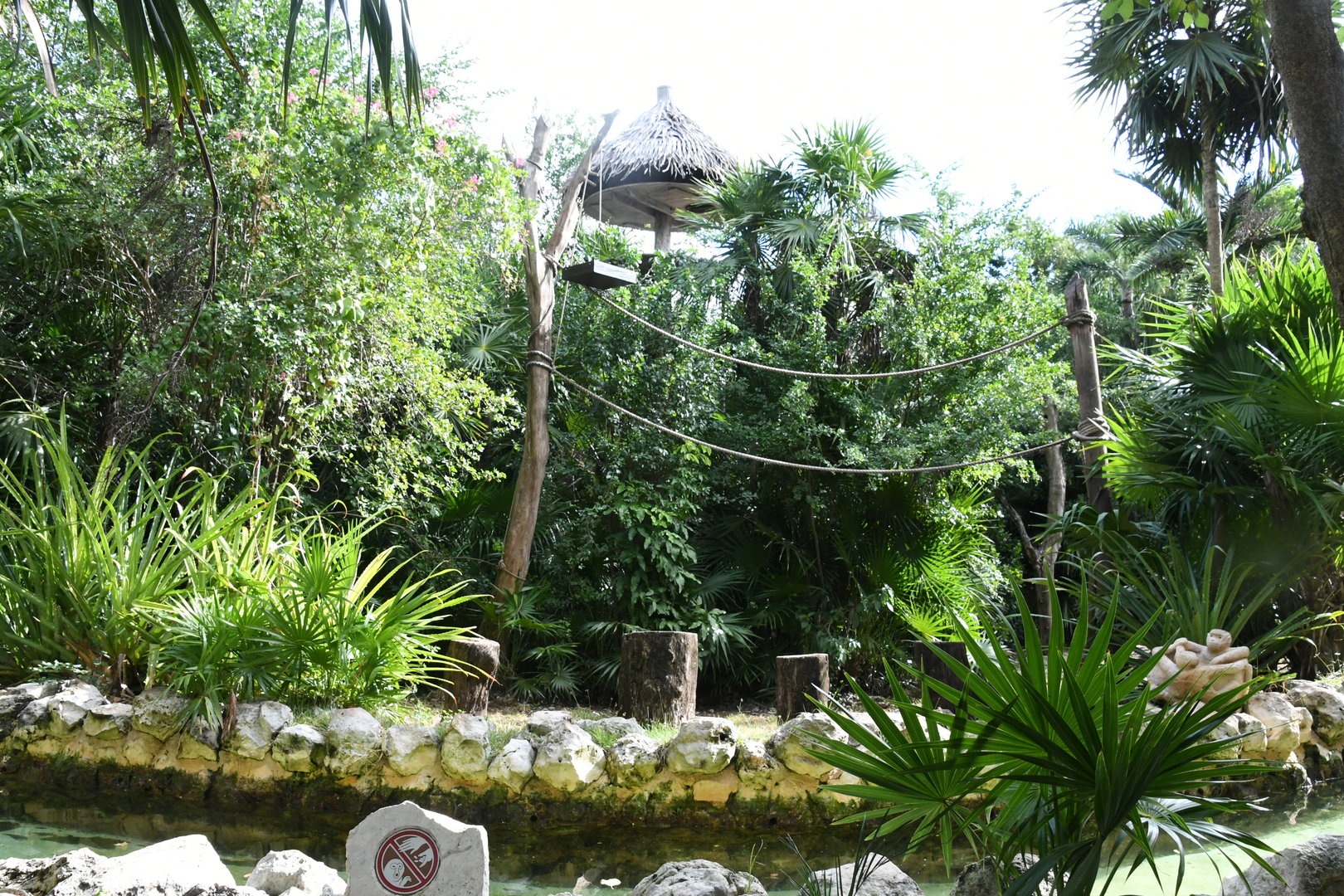 Spider Monkeys Exhibit