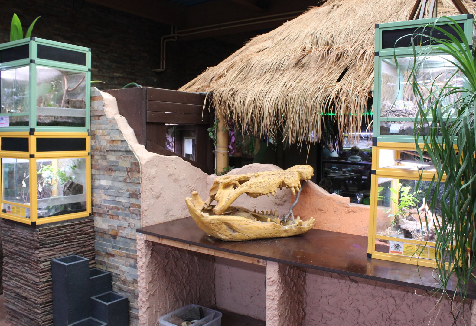 Spider-tanks and decoration