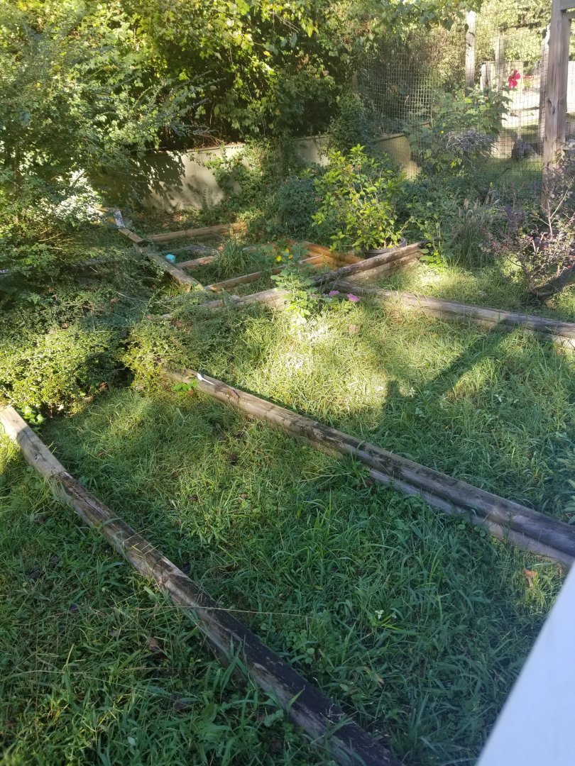 Spider Tortoise Enclosures