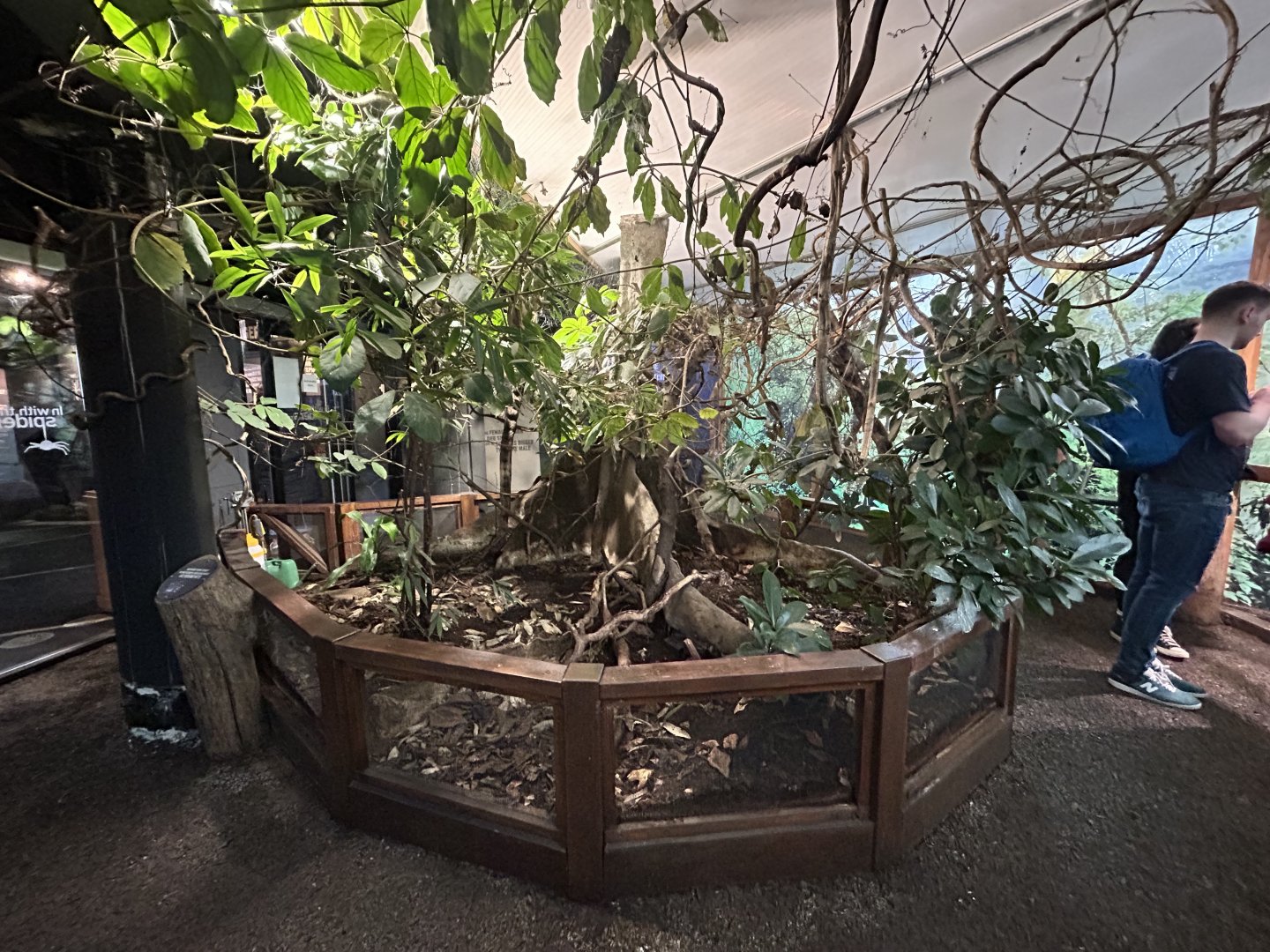 Spider Walkthrough Exhibit - Tiny Giants