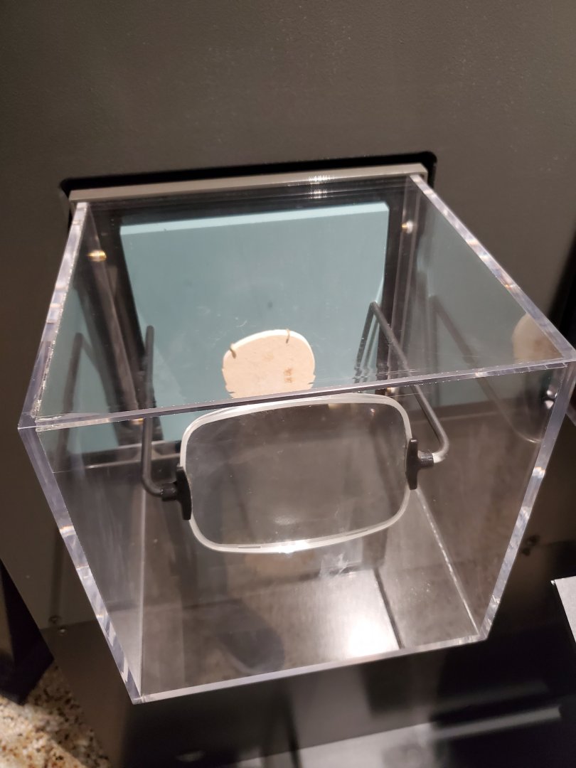 Spiders Alive! Amber Fossil Display - October 2023