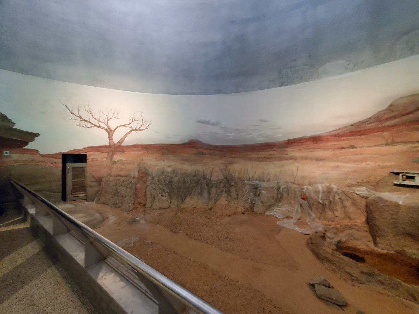 Spiders Alive! Former Aardvark/Meerkat Exhibit - October 2023