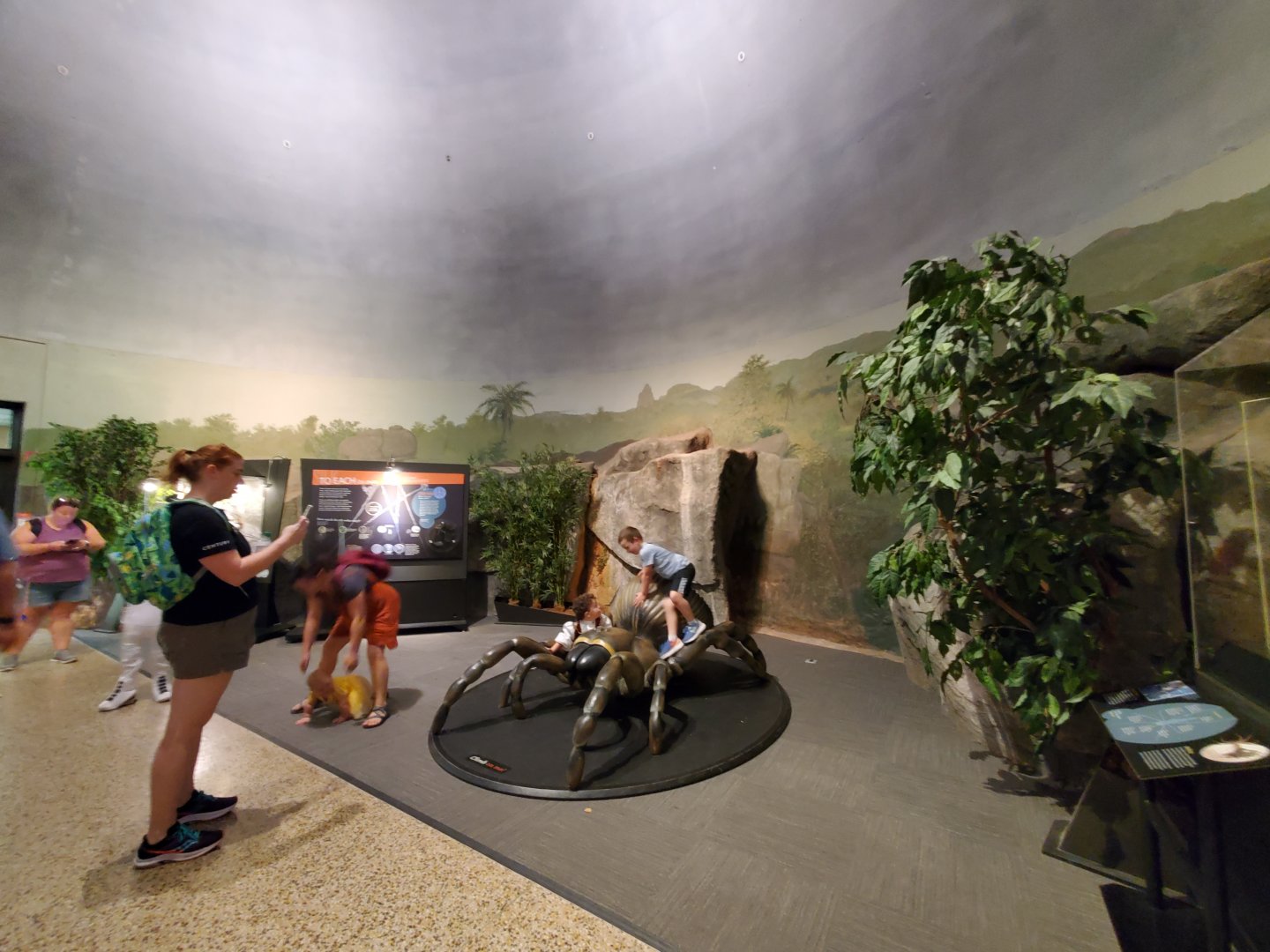 Spiders Alive! Former Hoffmann's Two-Toed Sloth/Red-Rumped Agouti Exhibit - October 2023