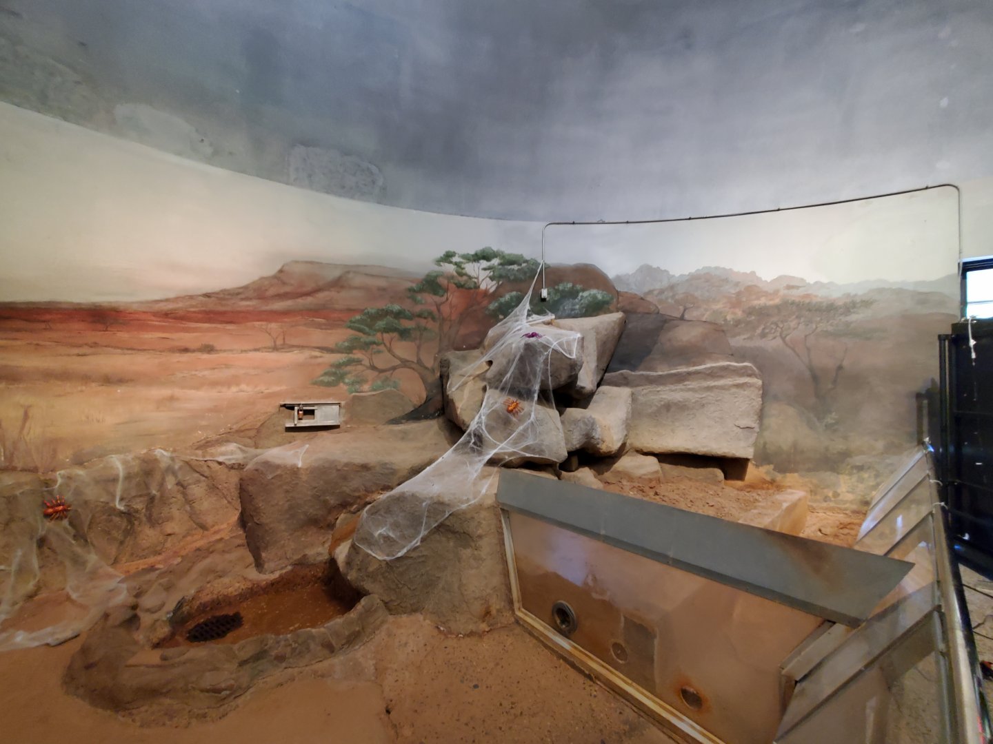 Spiders Alive! Former Meerkat Exhibit - October 2023