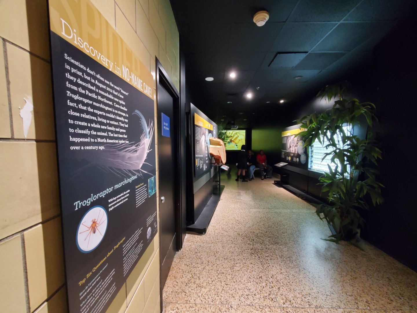 Spiders Alive! Former Nocturnal Hall/Vampire Bat Exhibit/Current Movie Theater - October 2023