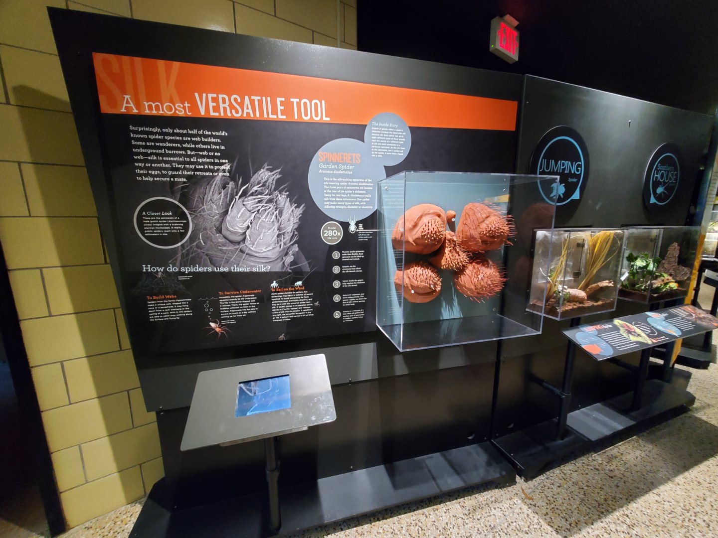 Spiders Alive! Interpretive Graphics + Jumping Spider Exhibit - October 2023