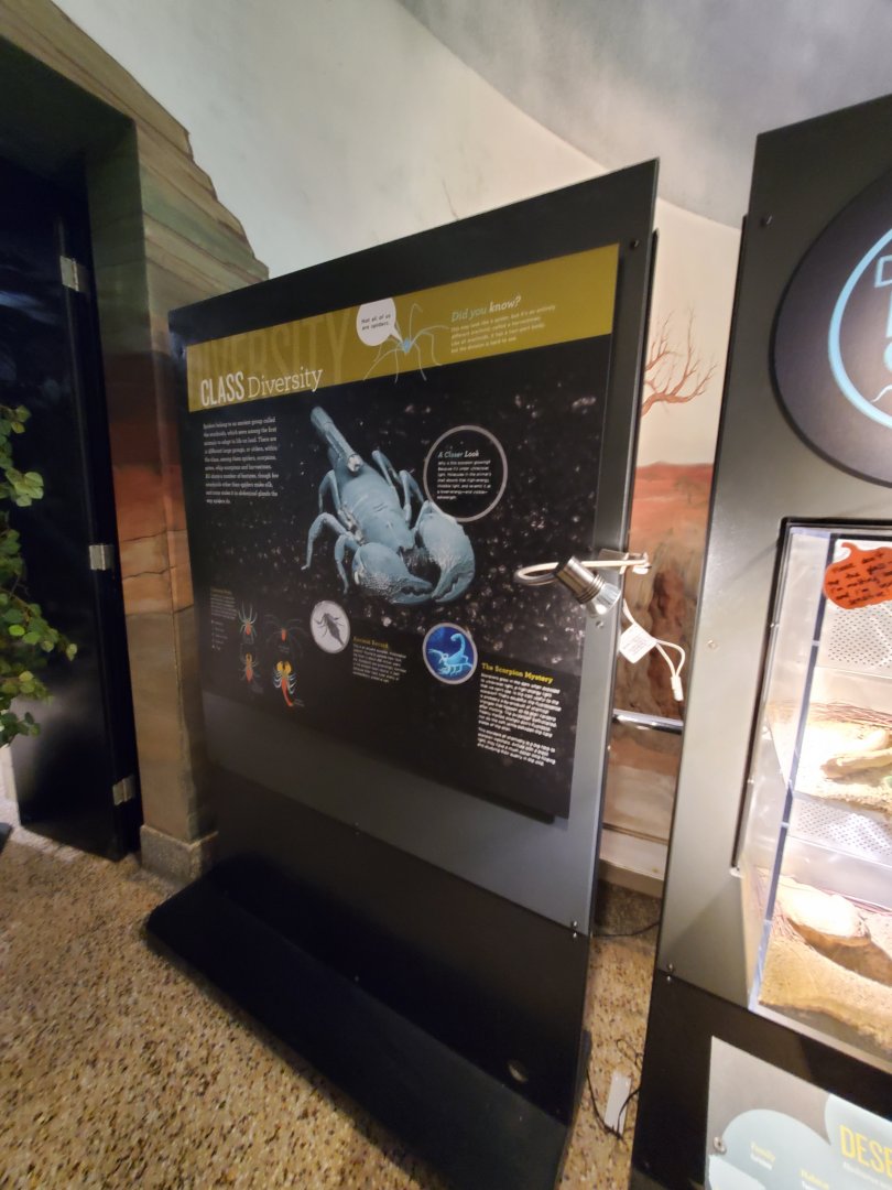 Spiders Alive! Interpretive Graphics - October 2023