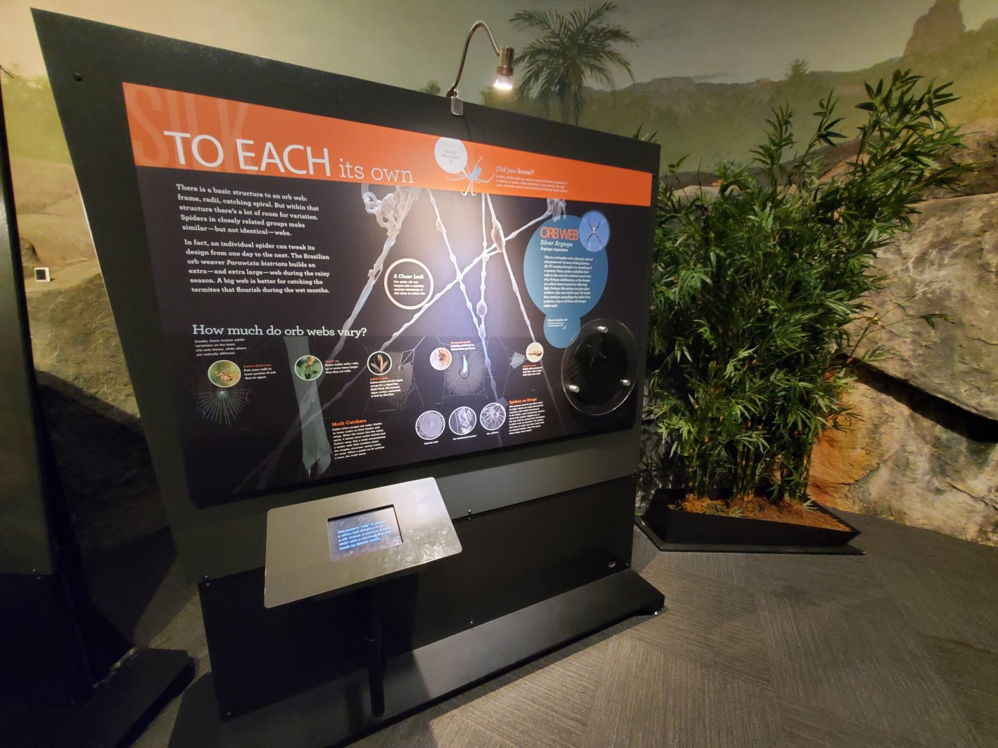 Spiders Alive! Interpretive Graphics - October 2023