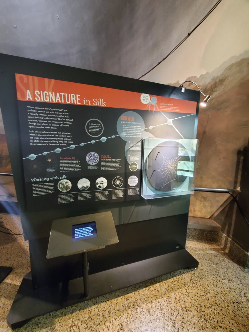 Spiders Alive! Interpretive Graphics - October 2023