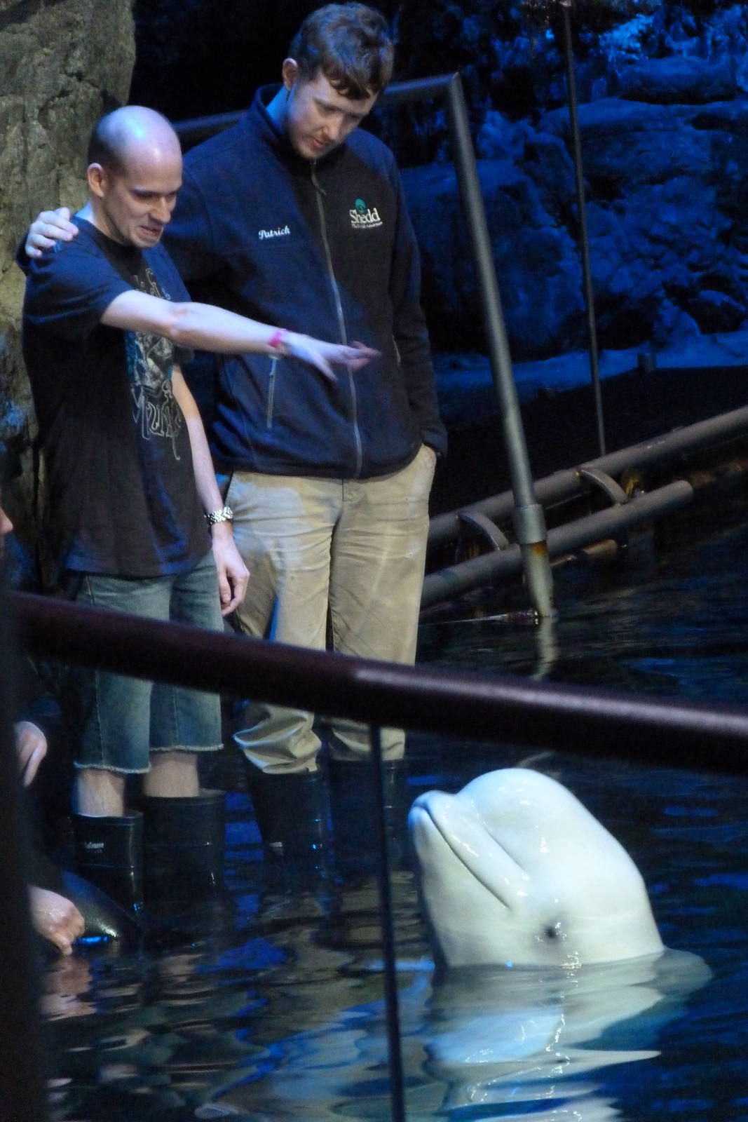 Spin (Aquatic Show) 5-2-12