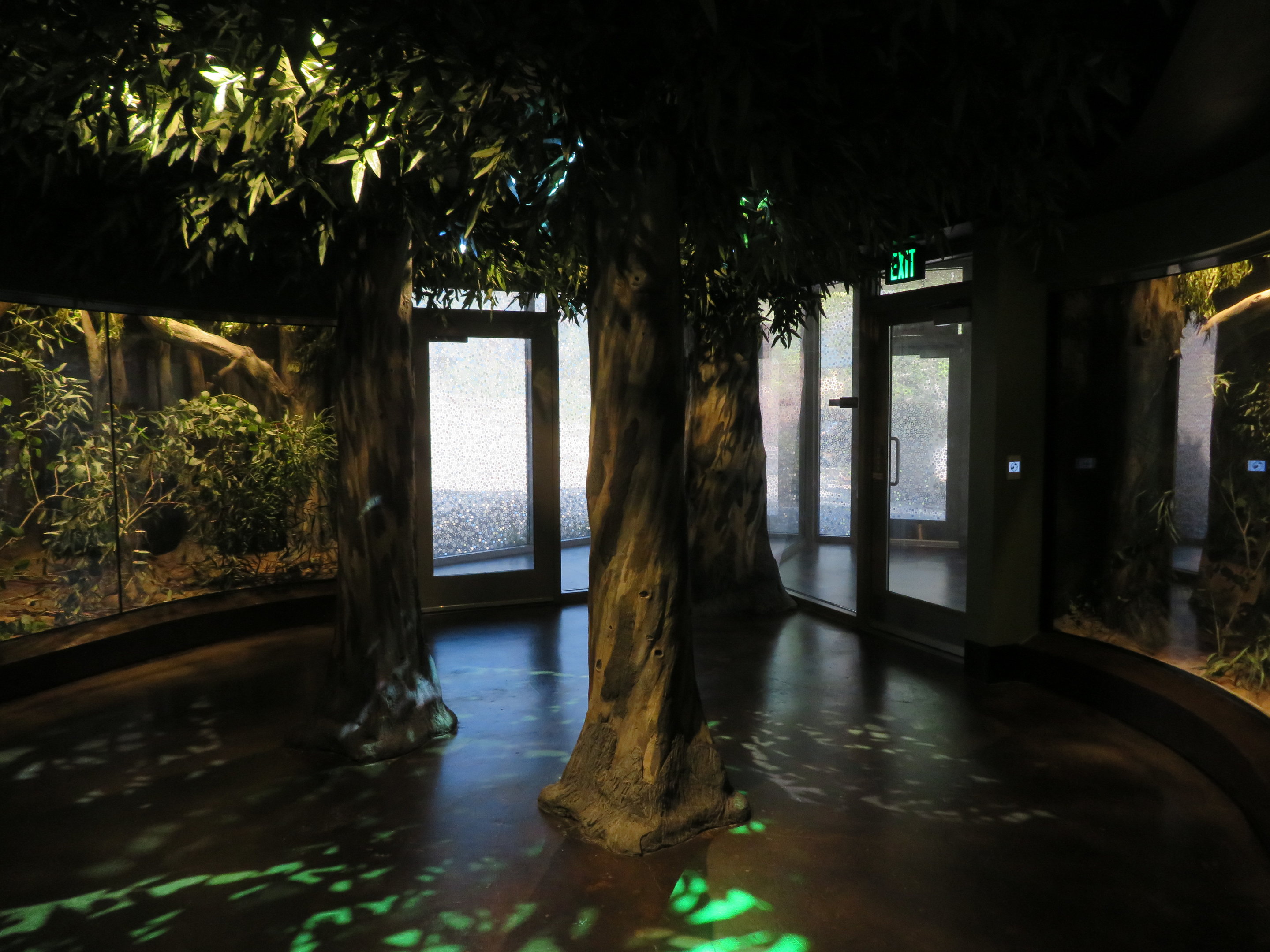 Spineless Marvels - Lower Floor (Arachnids)