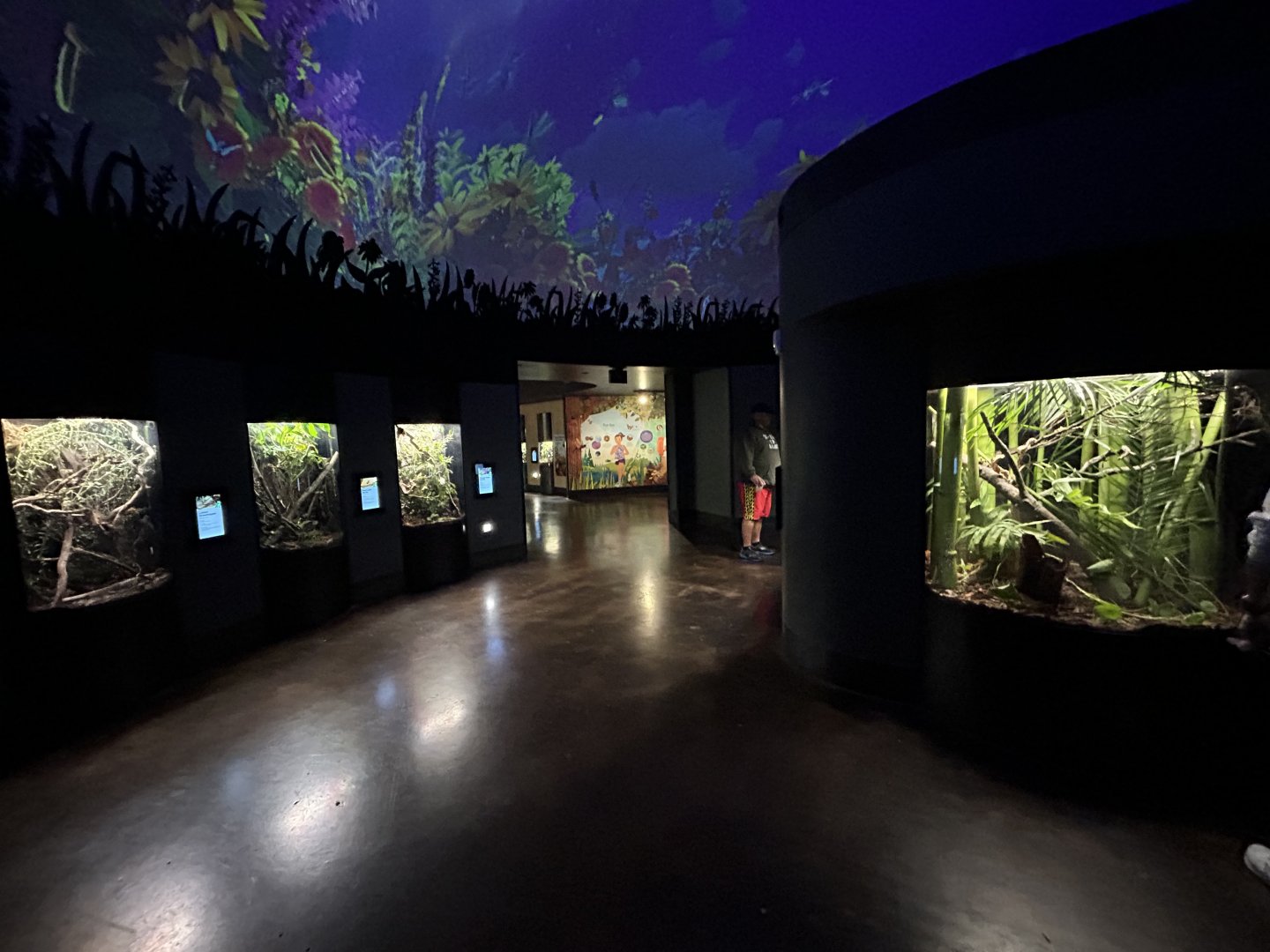 Spineless Marvels Overview - Wildlife Explorers Basecamp