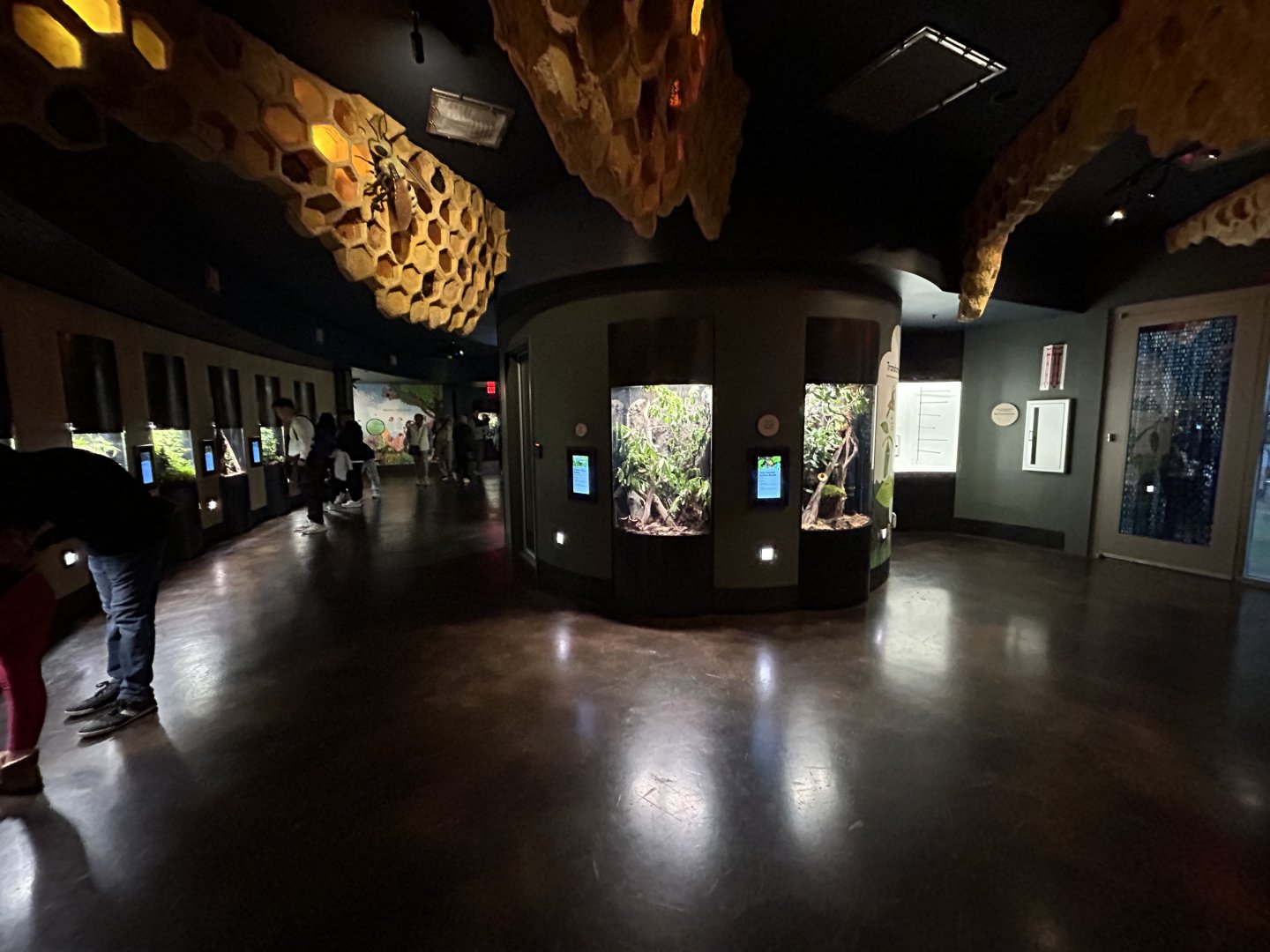 Spineless Marvels Overview - Wildlife Explorers Basecamp