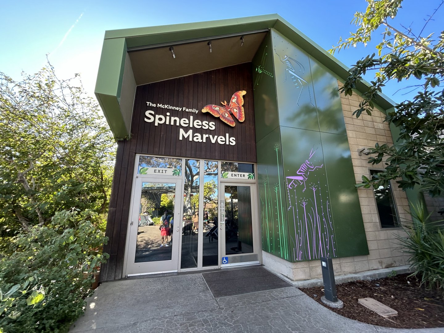 Spineless Marvels - Wildlife Explorers Basecamp