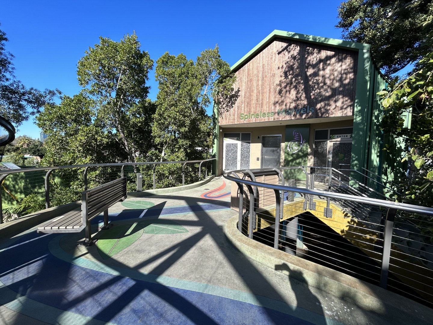 Spineless Marvels - Wildlife Explorers Basecamp