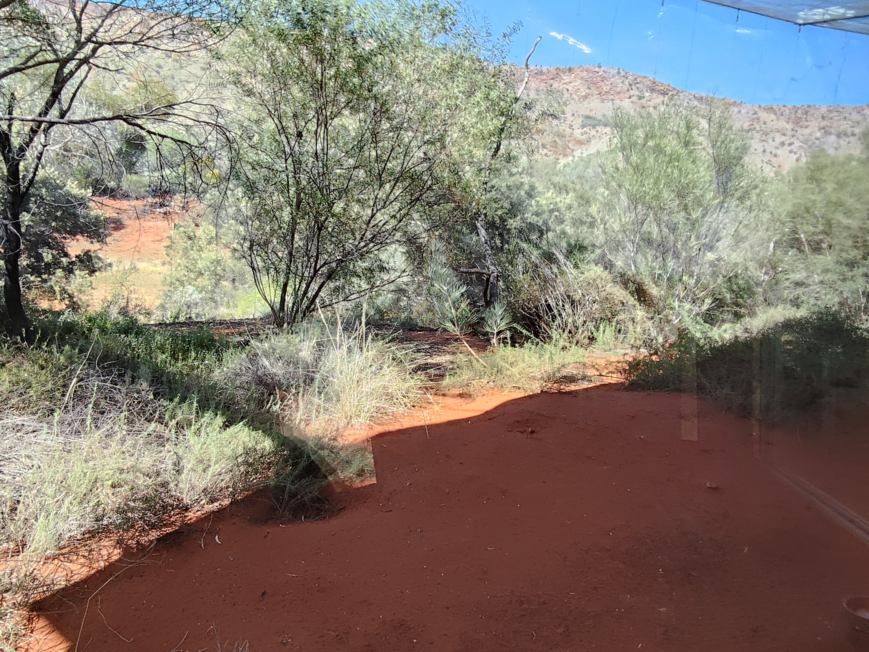 Spinifex Grasslands aviary