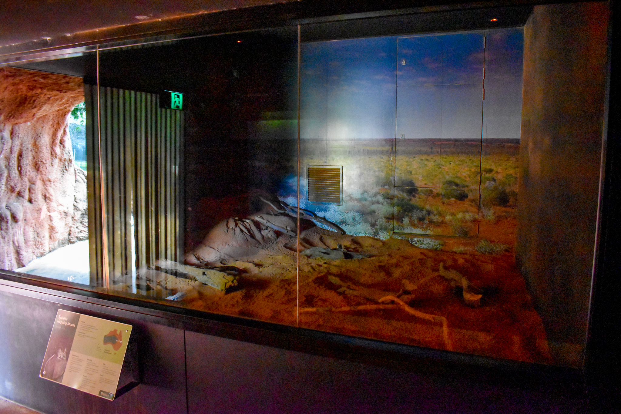 Spinifex Hopping Mice Enclosure