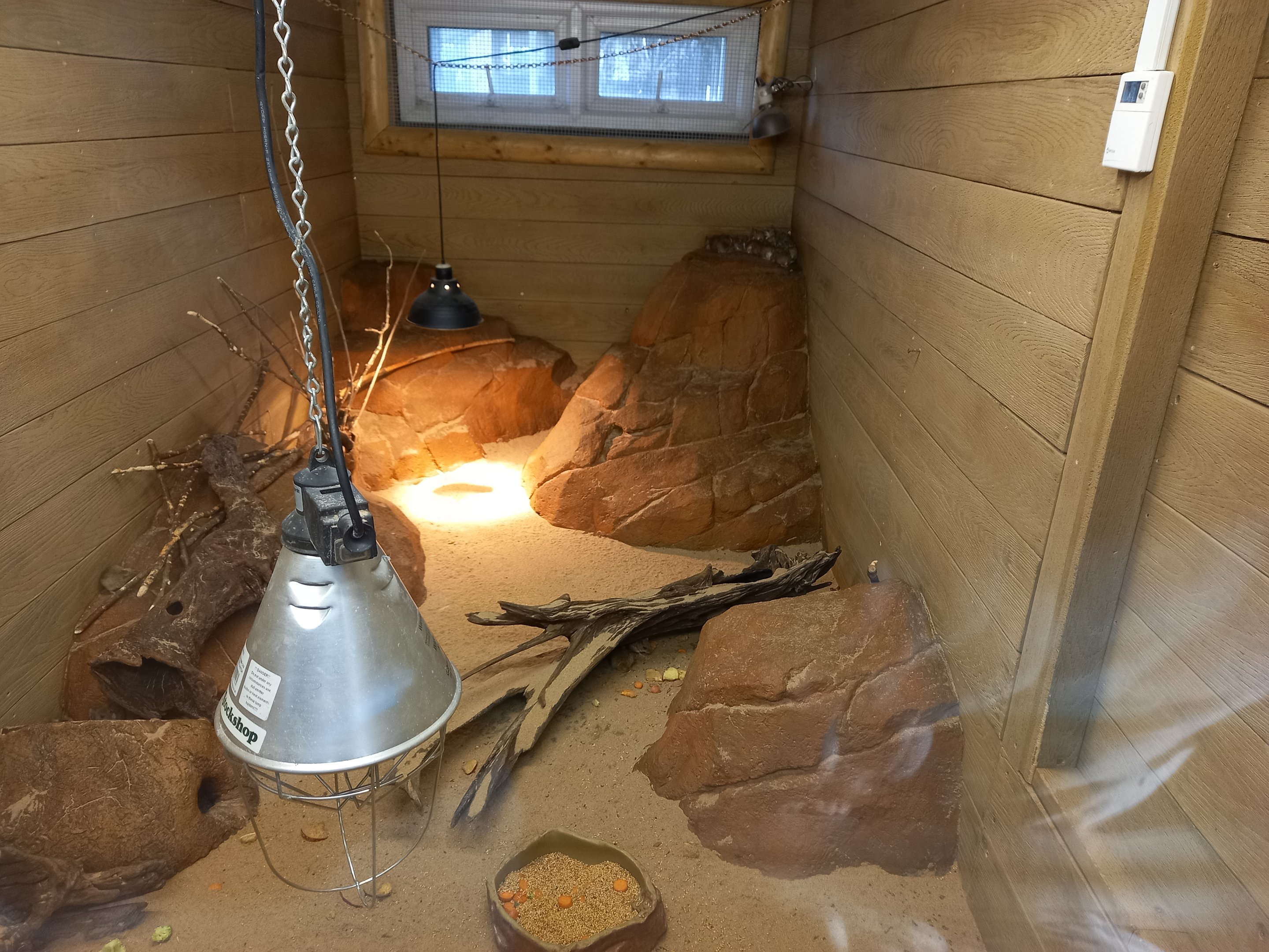 Spinifex Hopping Mice enclosure