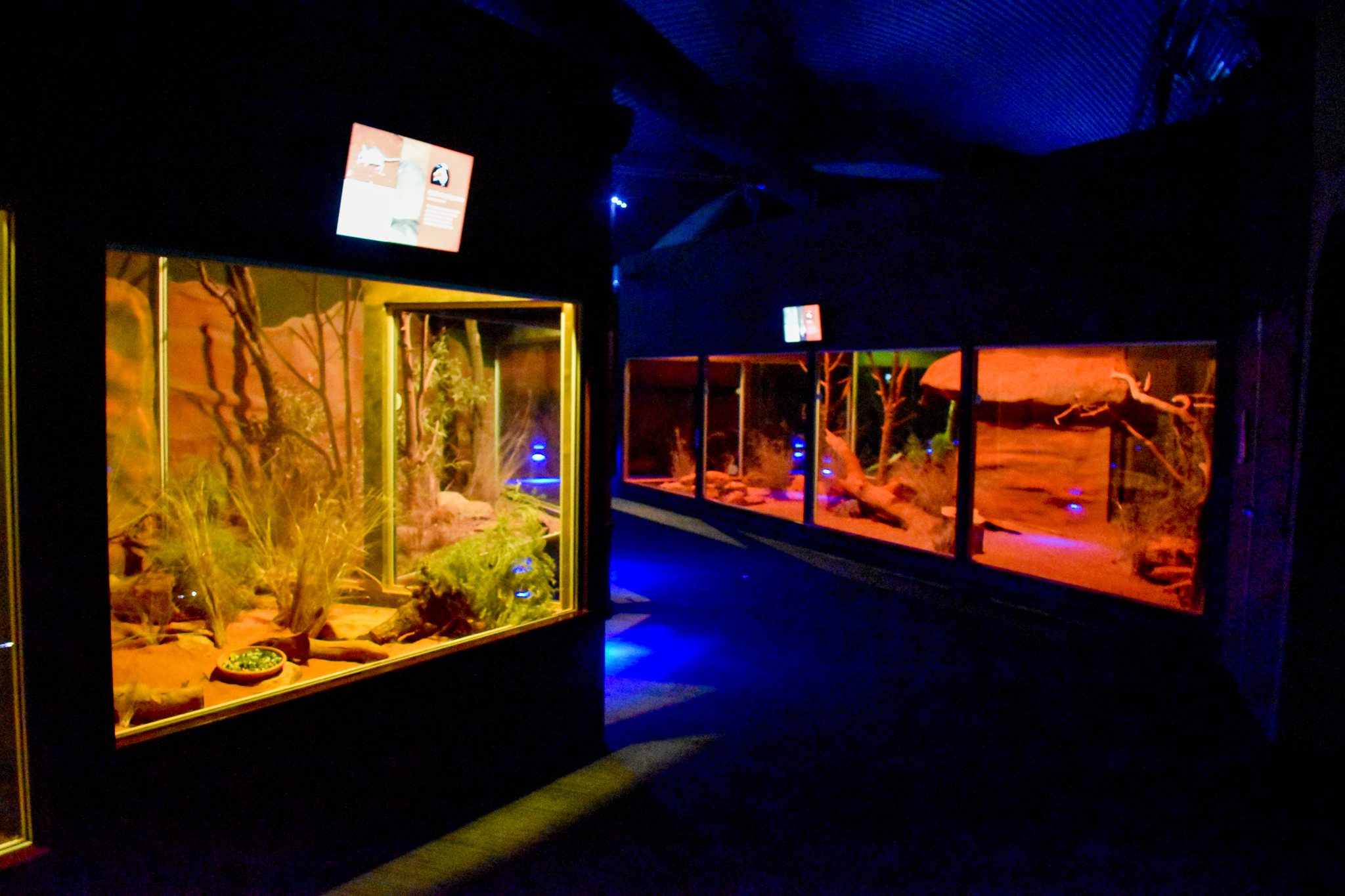 Spinifex Hopping-Mouse and Bilby/Ghost Bat Enclosures