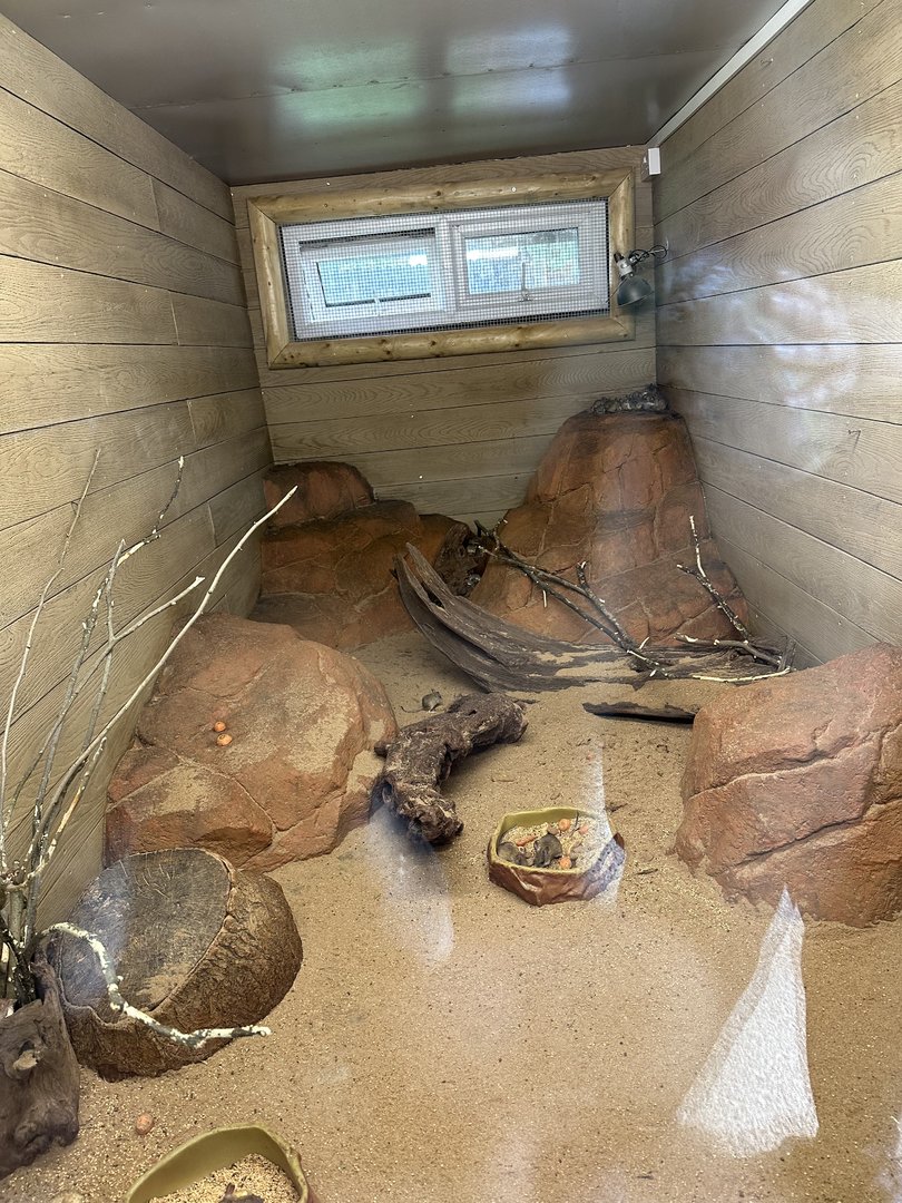 Spinifex Hopping Mouse Enclosure at Hamerton Zoo Park (October 2023)
