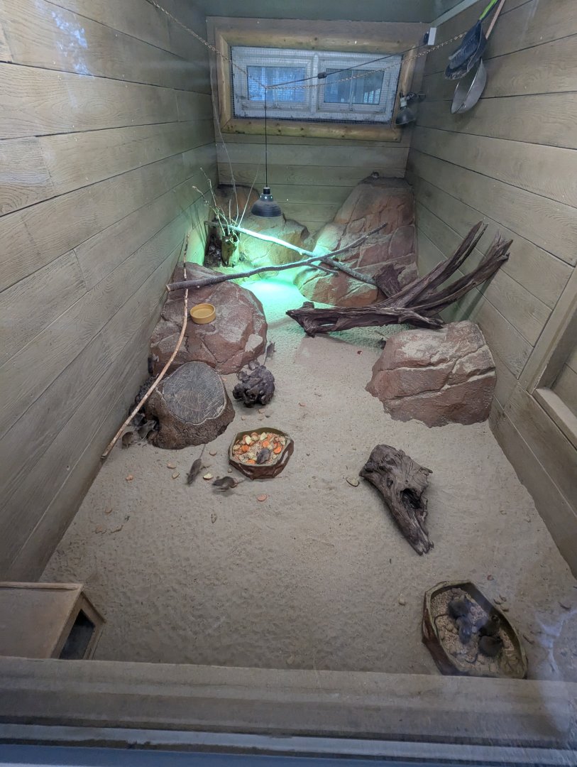 Spinifex Hopping Mouse Enclosure