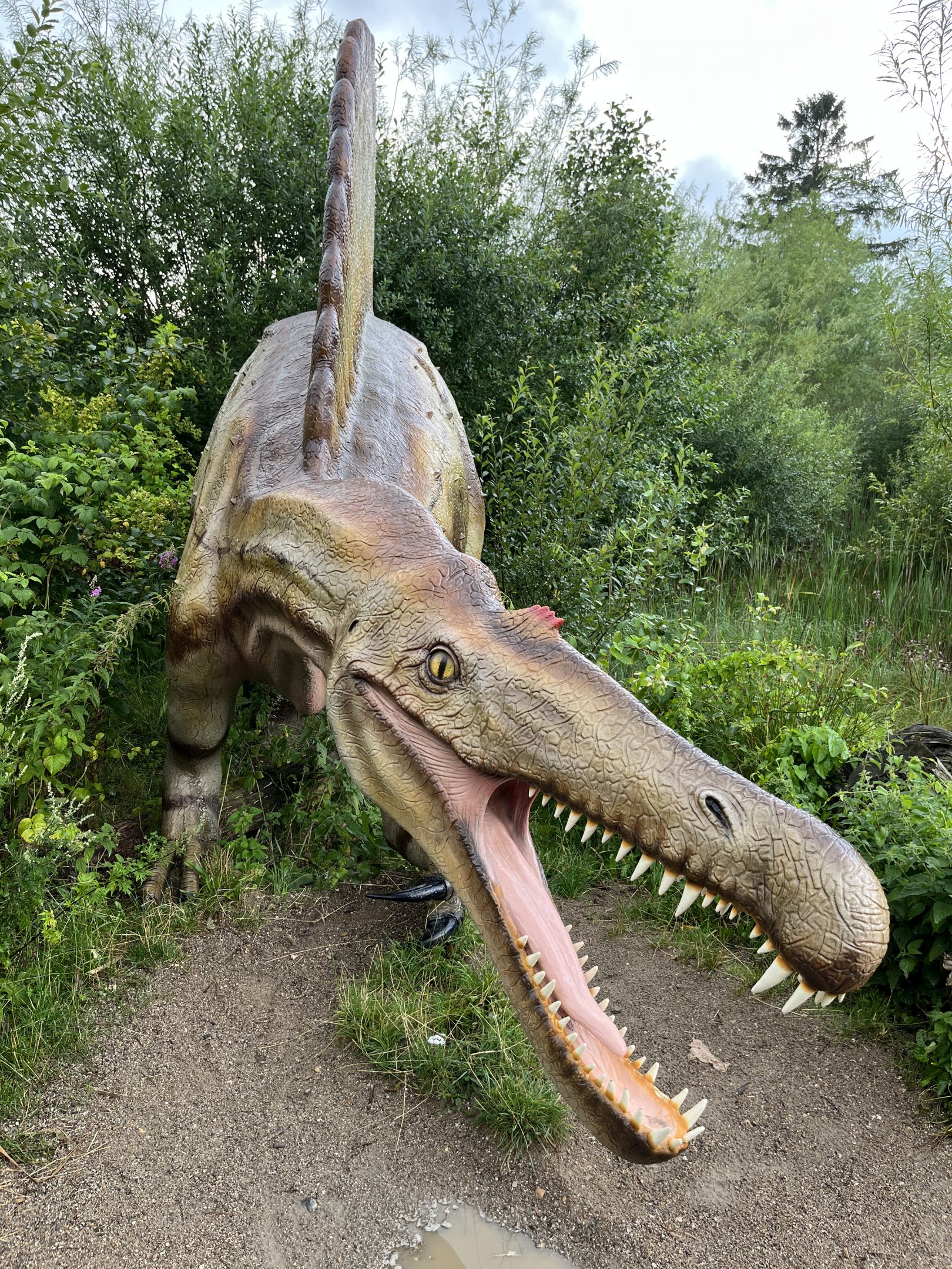 Spinosaurus