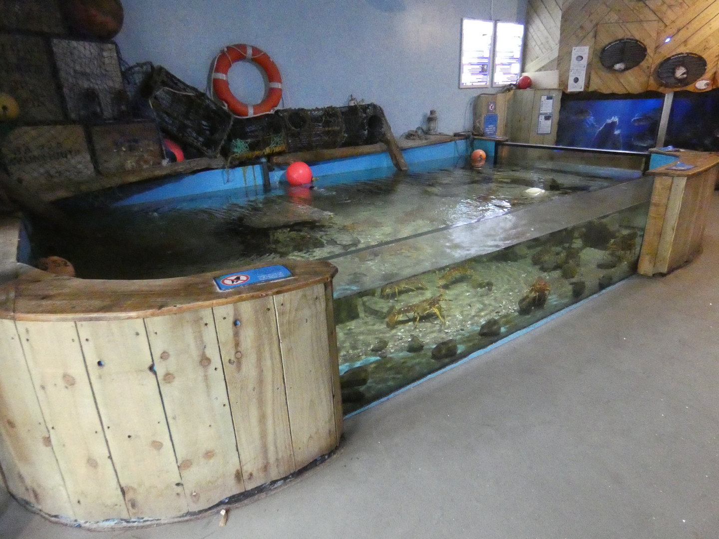 Spiny lobster exhibit - Anglesey Sea Zoo